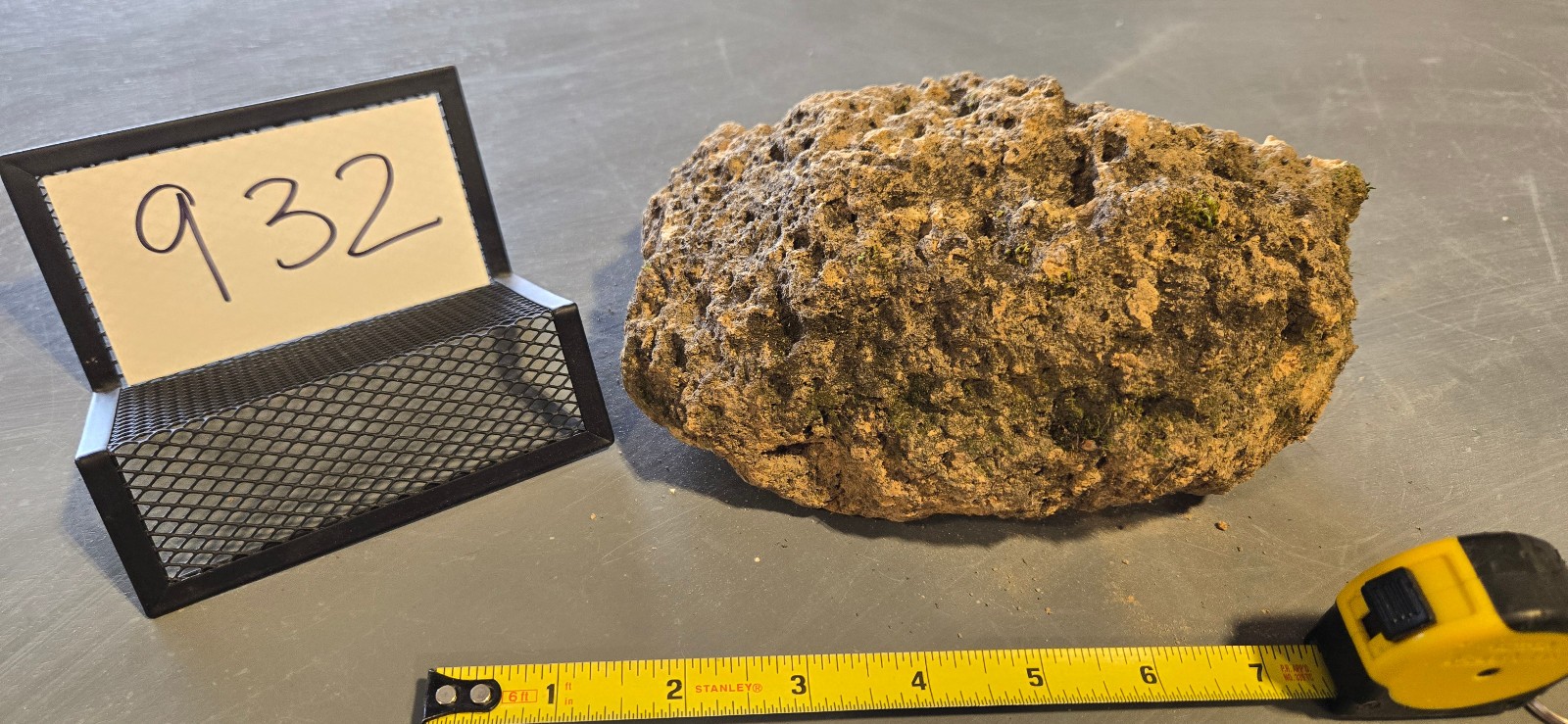 7″ Medium Pumice Stone Floating Natural Rock Carnivorous Succulent Garden #932
