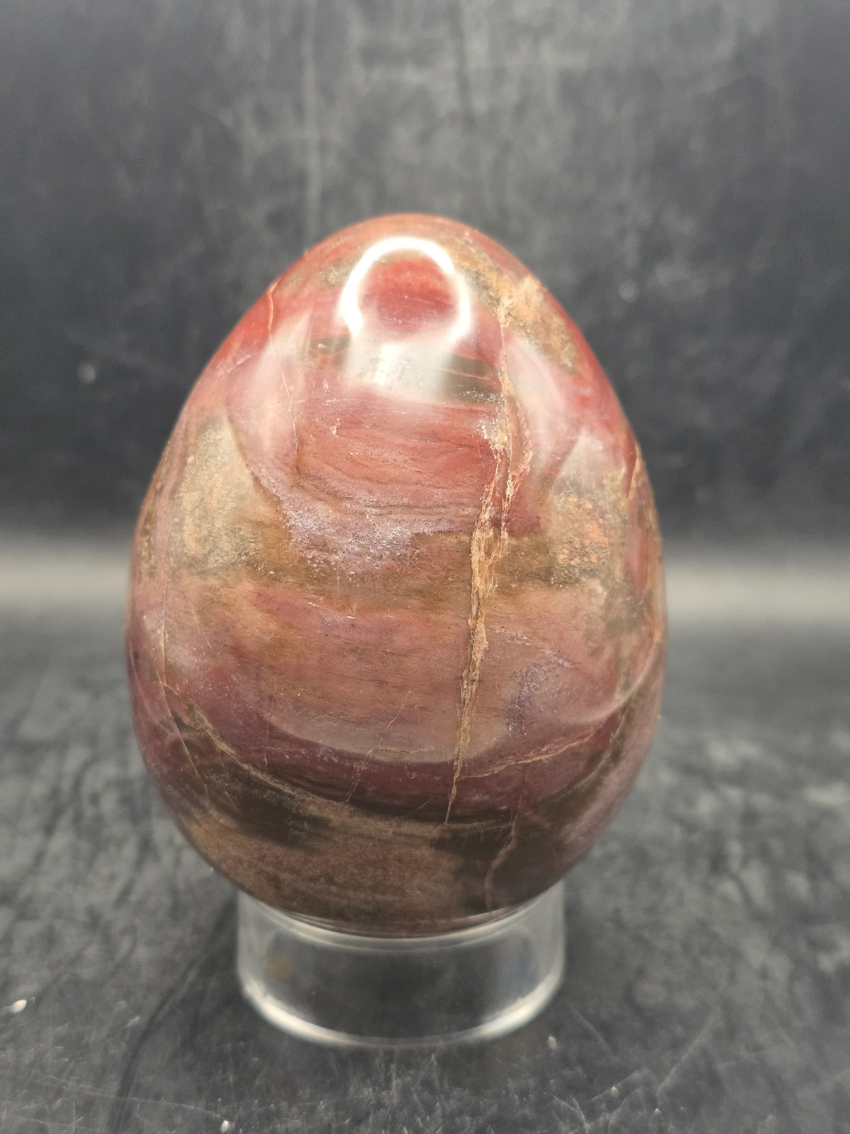 Petrified wood egg! 1.4 pounds! 3.5 inches tall, 2.7″ wide