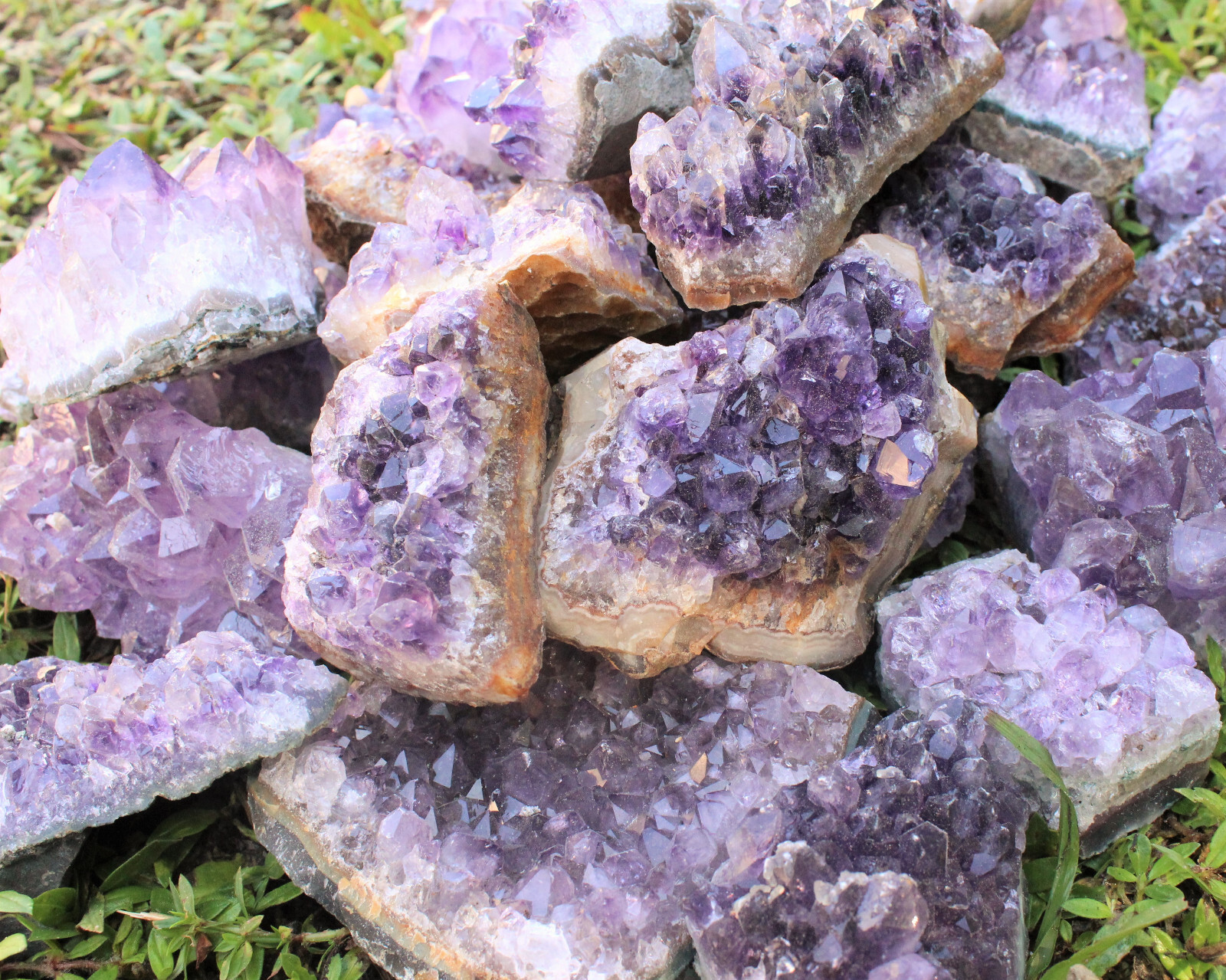 Bulk LARGE Natural Amethyst Crystal Clusters B/C Grade 2lb – 3lb: 4-5 Piece Box