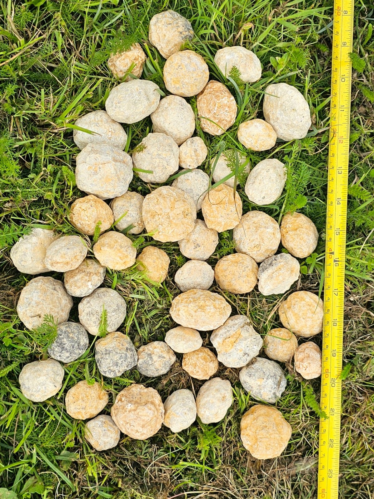 Quartz Geodes – Break Your Own Geode – Unbroken Quartz Crystal