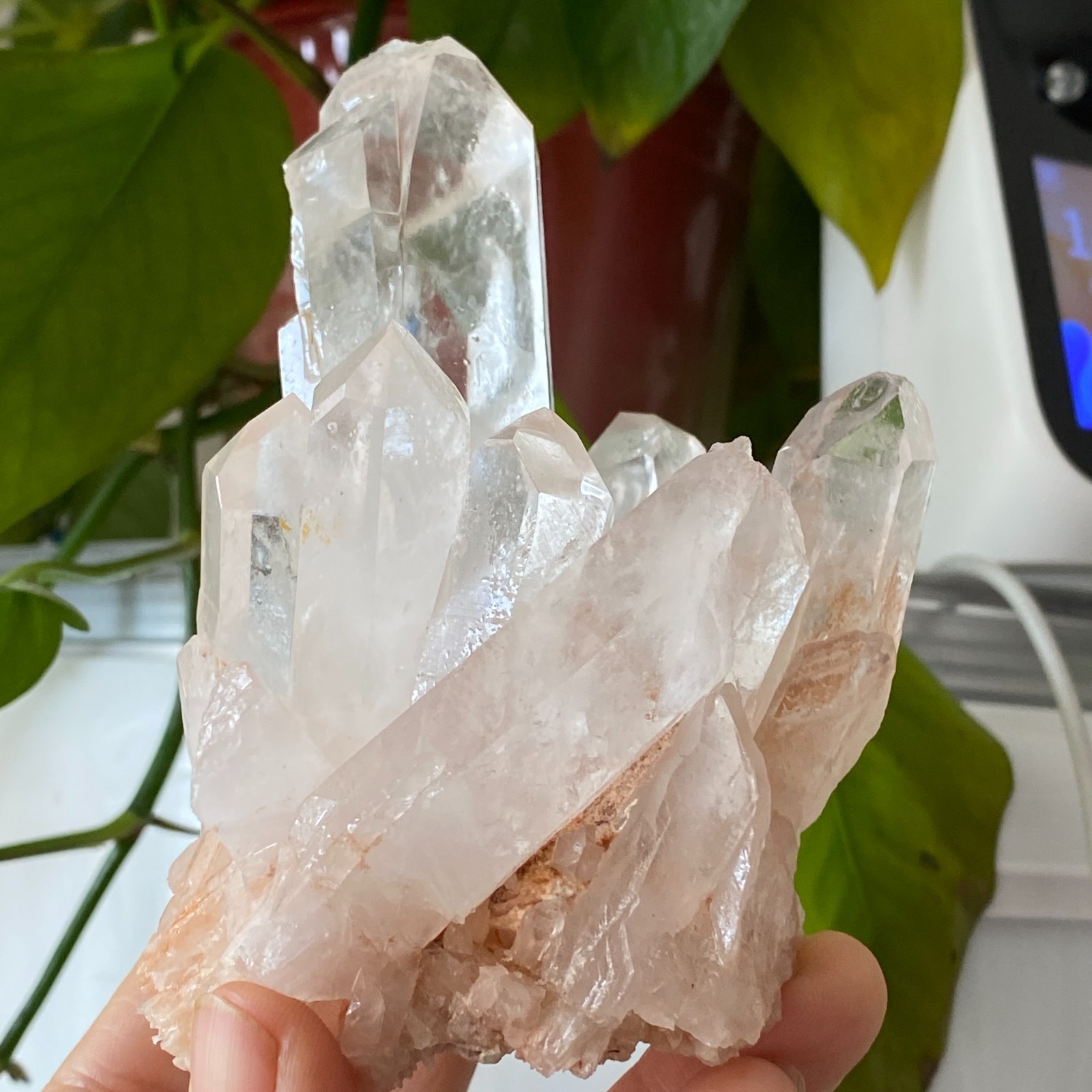 461g Natural Clear White Quartz Crystal Cluster Energy Healing Specimen