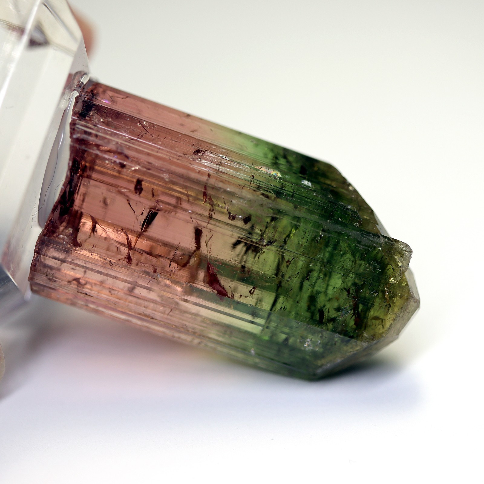 Gem Tourmaline. Nuaparra Pegmatite, Zambezia Prov., Mozambique. About 50 grams