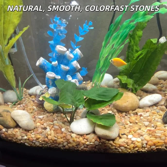 4lb Mixed River Rocks for Plants, 1-3″ Pebbles for Indoor Plants | Polished Gard