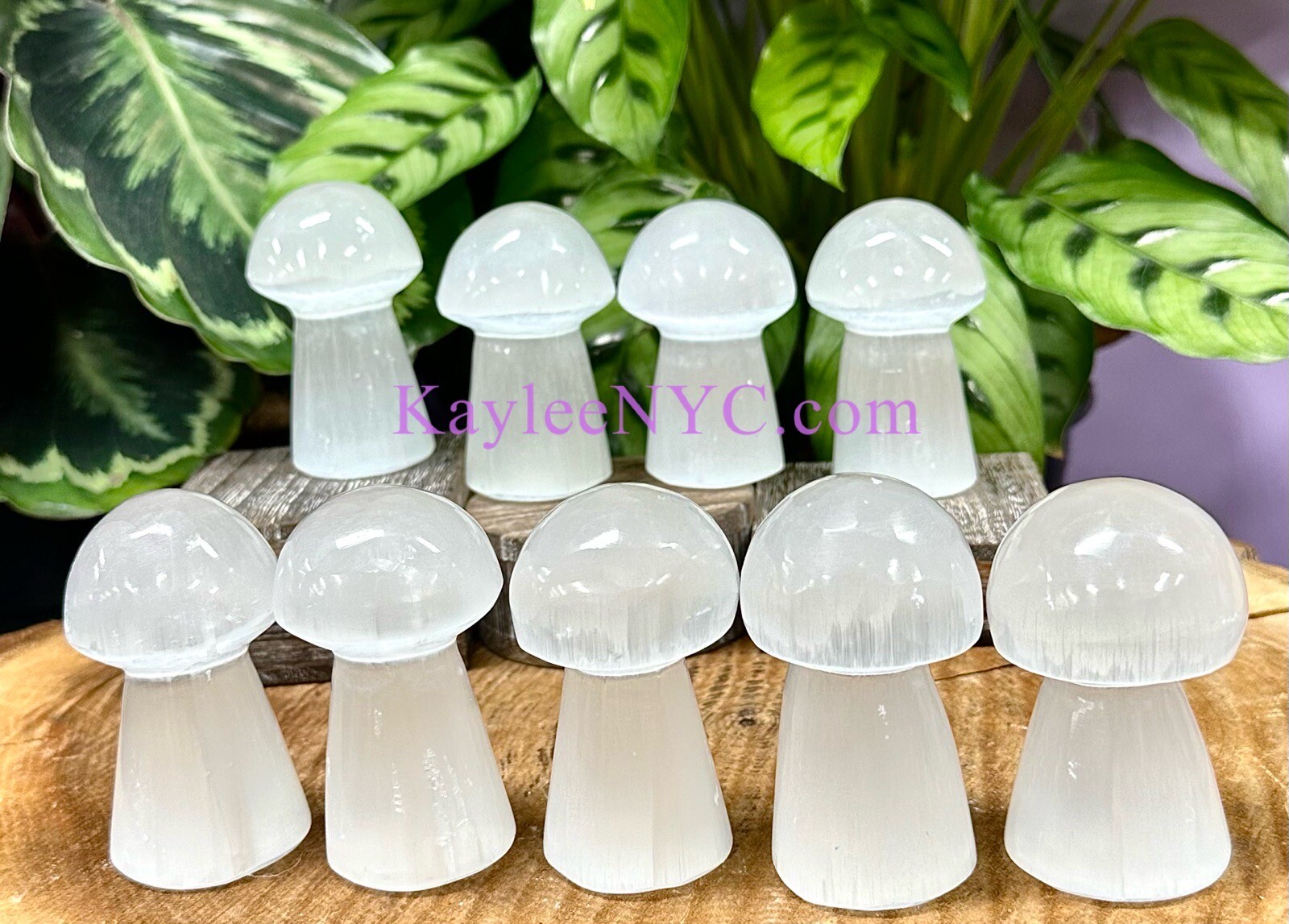 Wholesale Lot 9 PCs Natural Selenite Aka Satin Spar Mushroom ~8cm