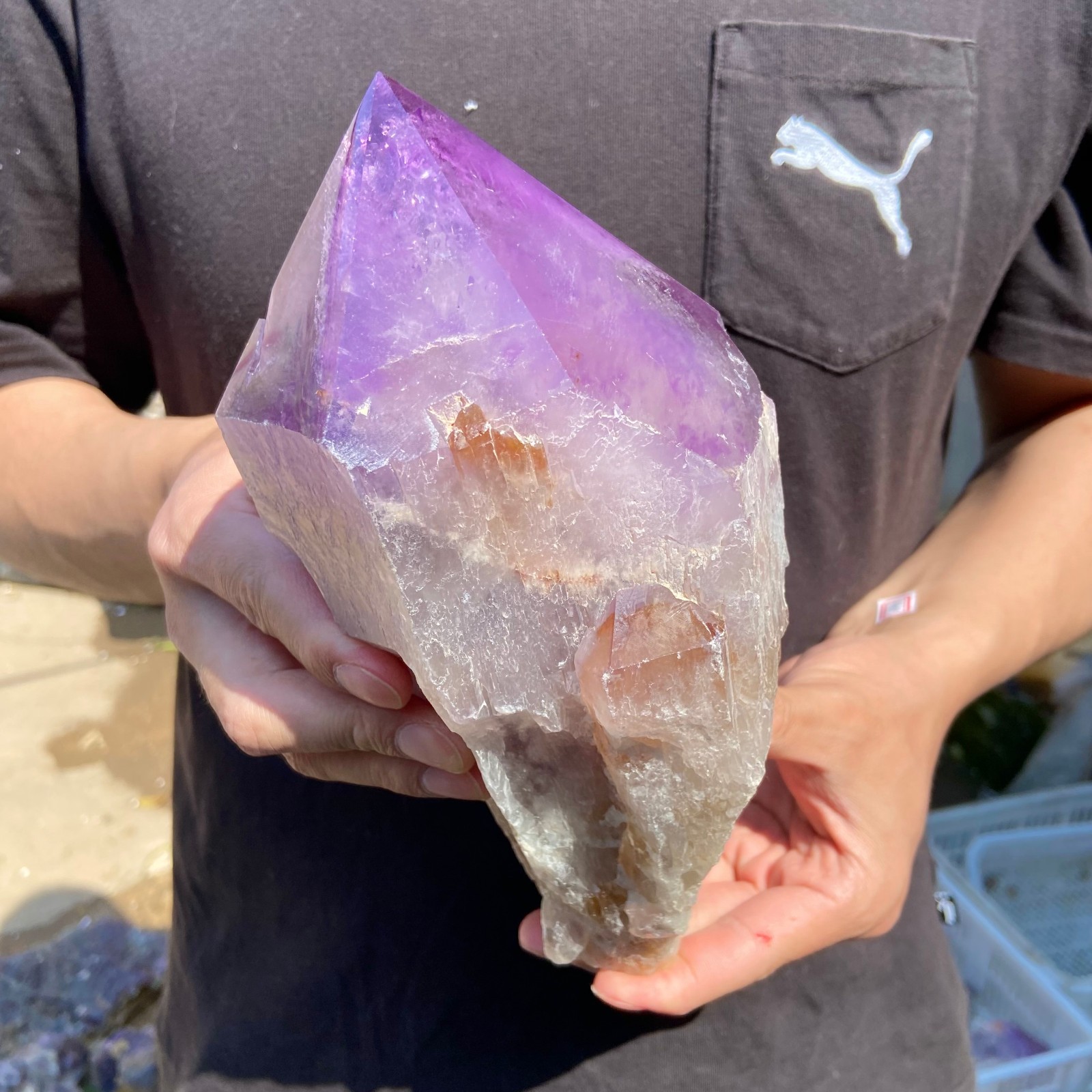 5.9lb Natural Amethyst Point quartz crystal polishing specimen Healing