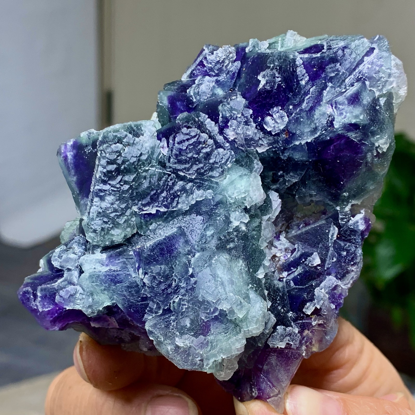 294G Rare transparent purple octahedron fluorite mineral crystal sample/China