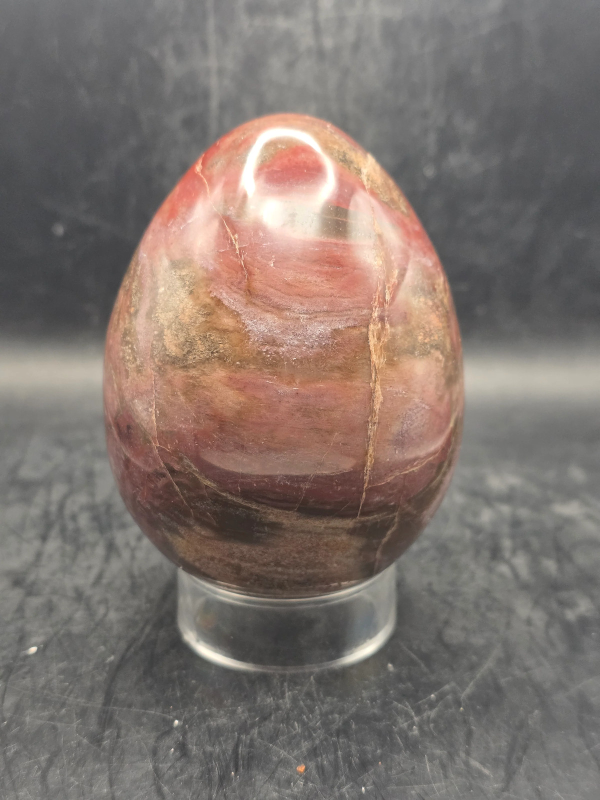 Petrified wood egg! 1.4 pounds! 3.5 inches tall, 2.7″ wide