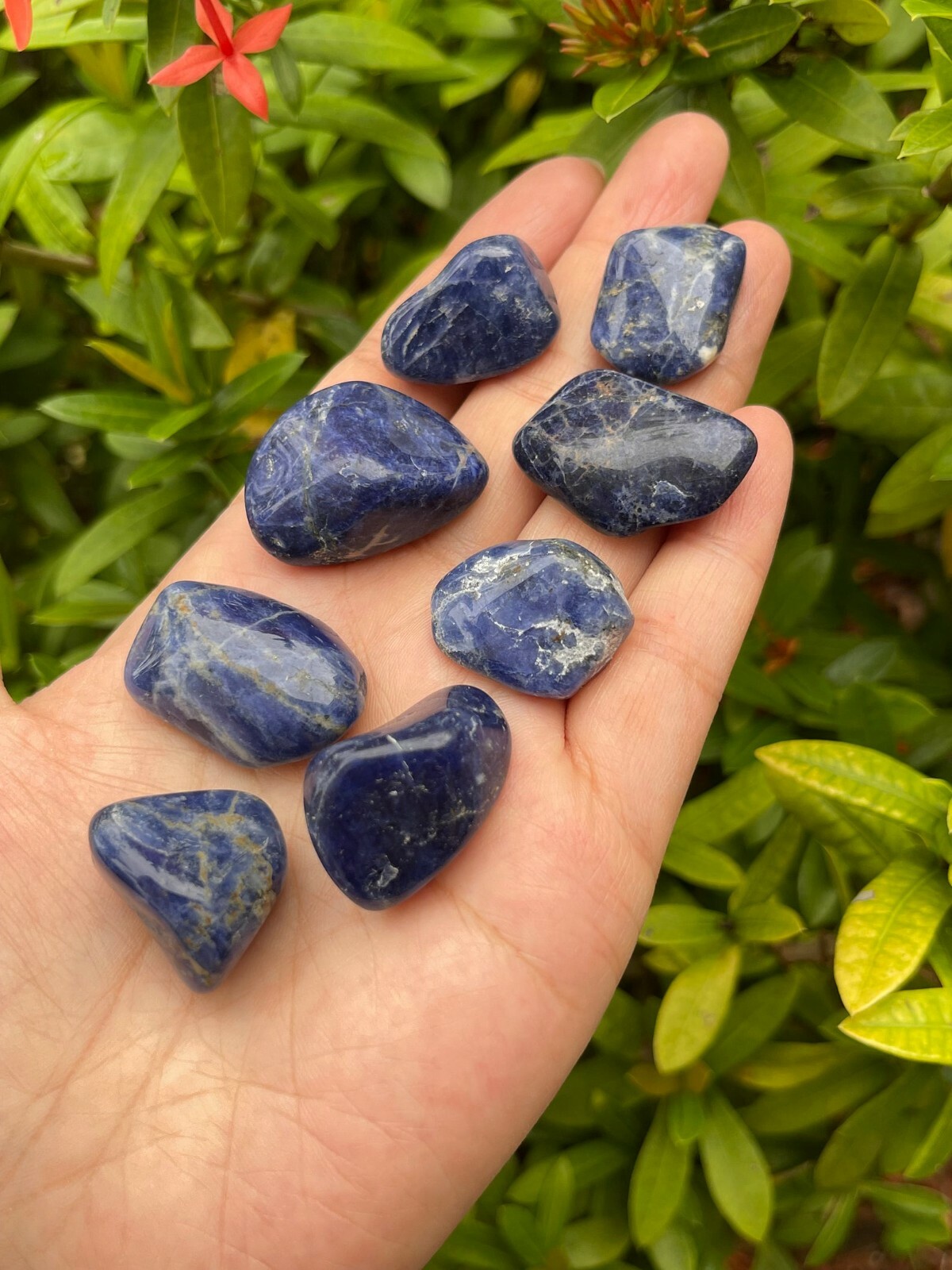 Grade A++ Sodalite Tumbled Stone, 0.8-1.25″ Tumbled Sodalite Stone,Pick a Weight