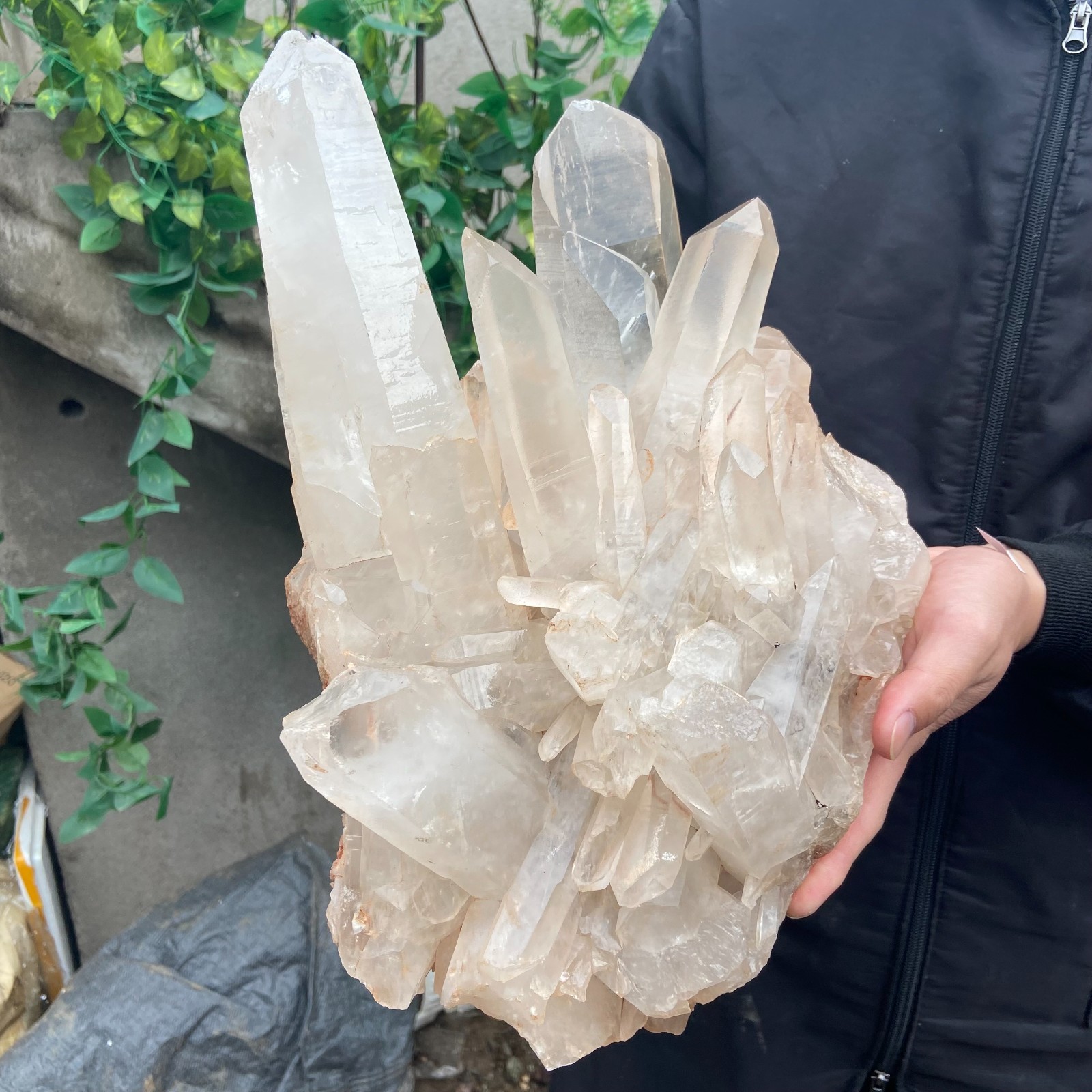 29.9lb Natural Clear White Crystal Quartz Cluster Rough Healing Specimen