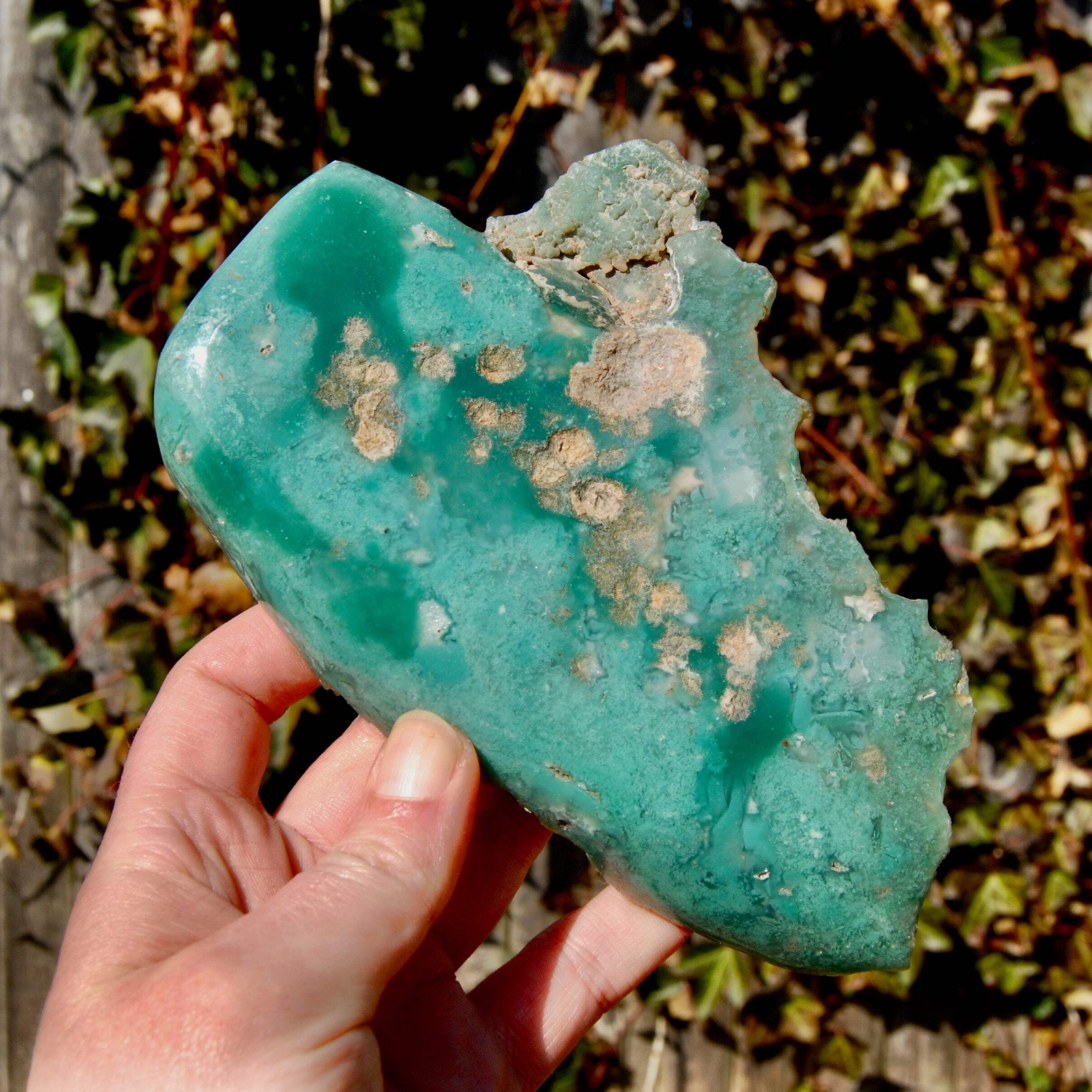 6.75in 436g XL Mtorolite Chrome Chalcedony Crystal Slice, Zimbabwe mtl6