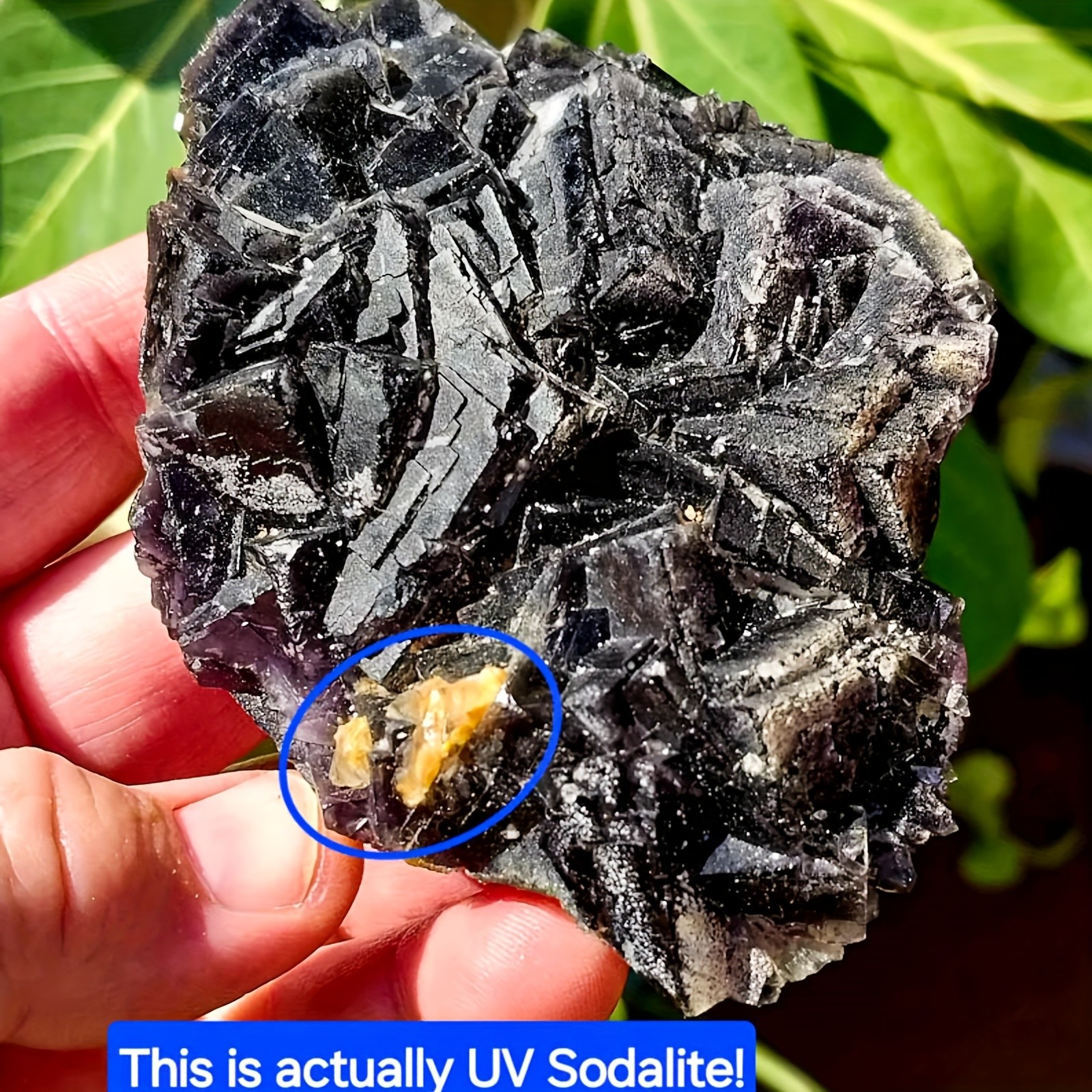 Random Black Rose Fluorite Crystal Mineral Speciman Rock Healing Decor Gift