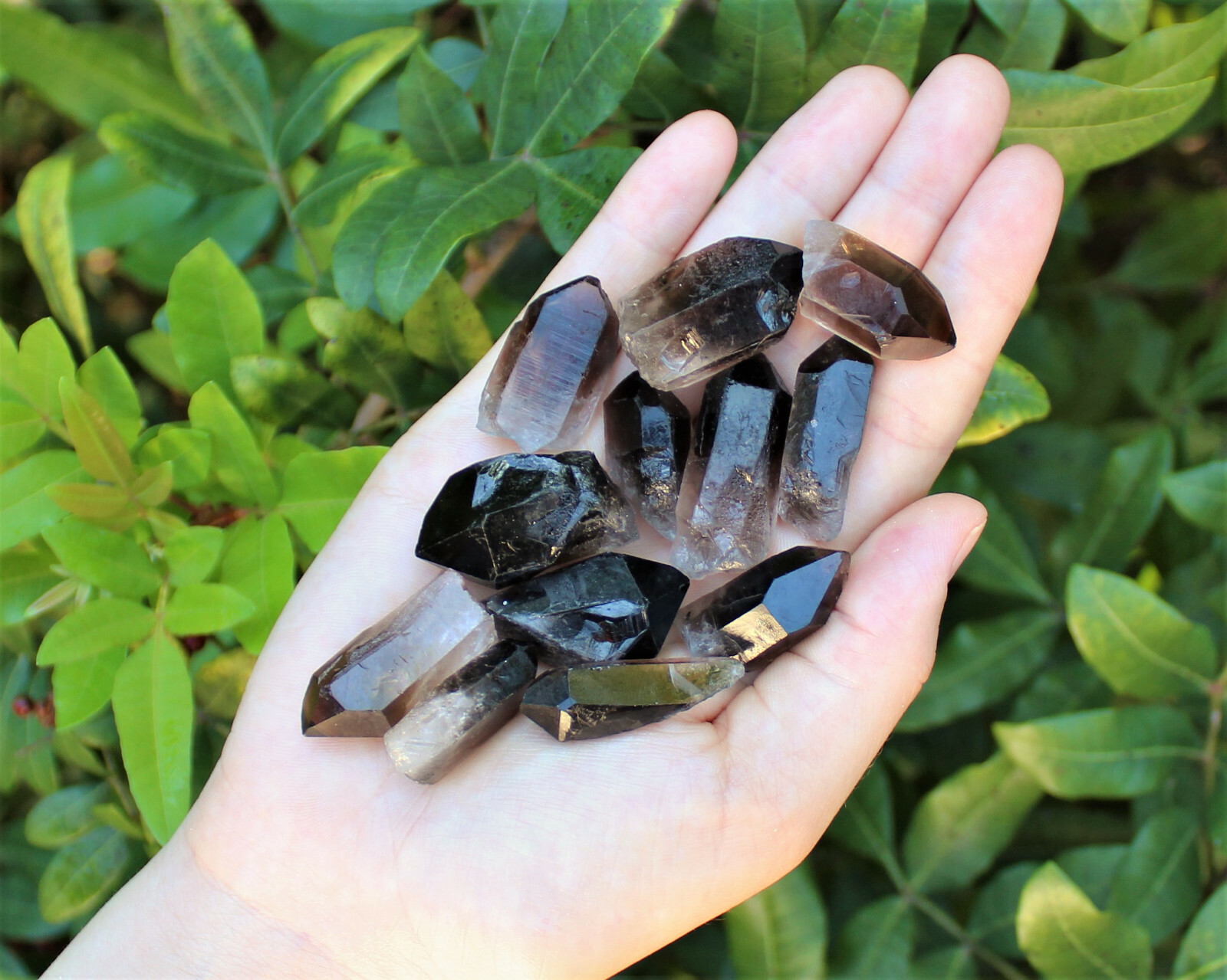 Smoky Quartz Crystal Points: 500 Carat Lot (Natural Smokey Quartz, 100 Gram)