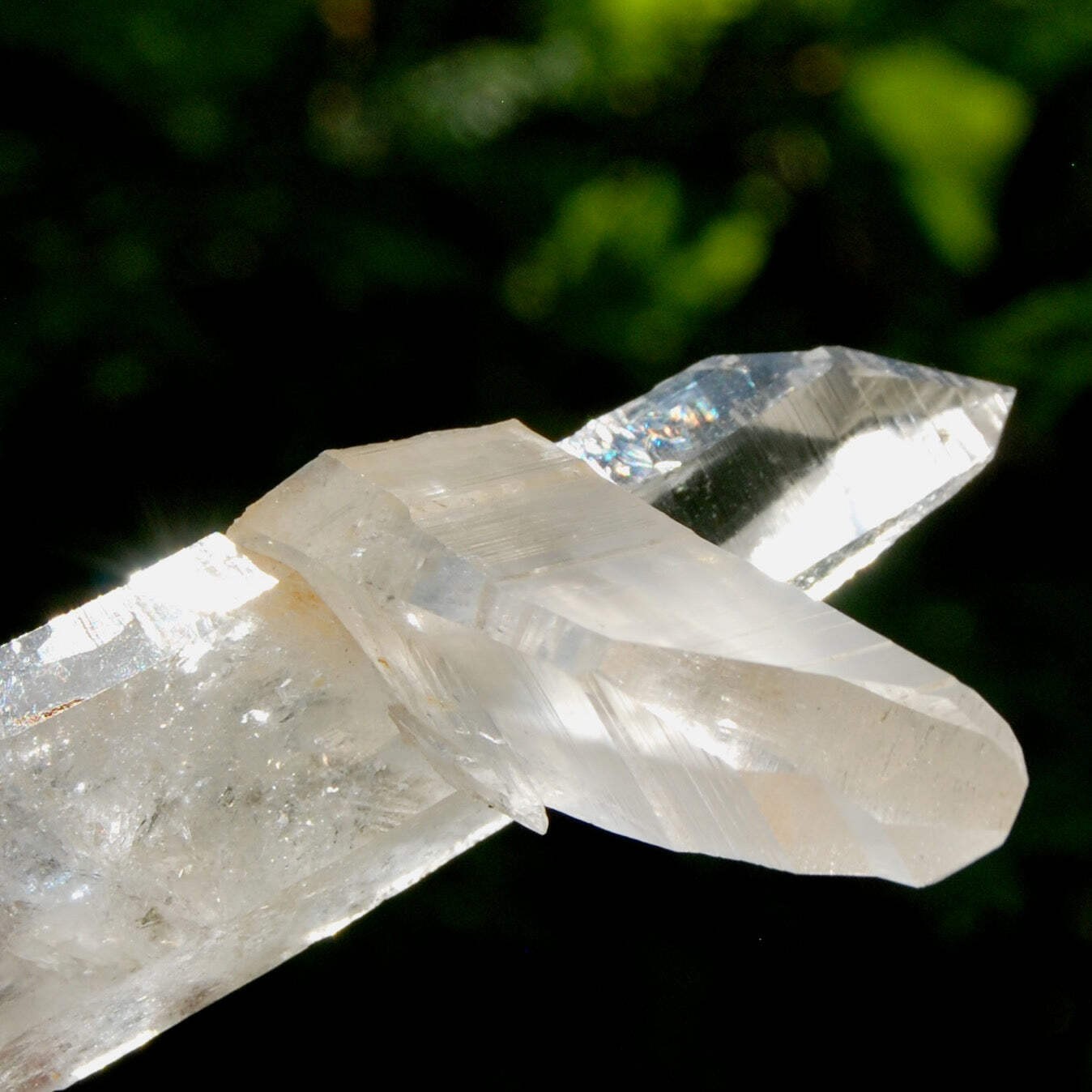 Lemurian Quartz Crystal Starbrary – 4in 106g Tantric Twin Flame Record Keeper, C