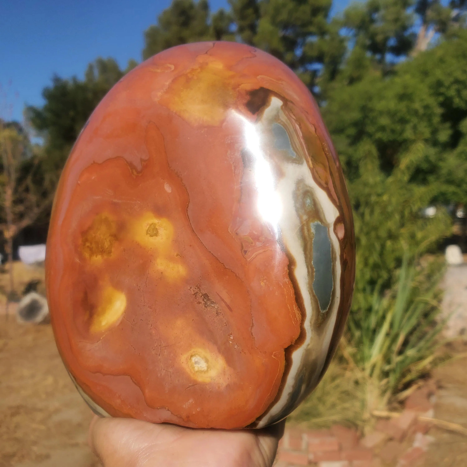 Polychrome Freeform Jasper Free-Standing Healing Crystal 3340 grams l 7lbs 6oz