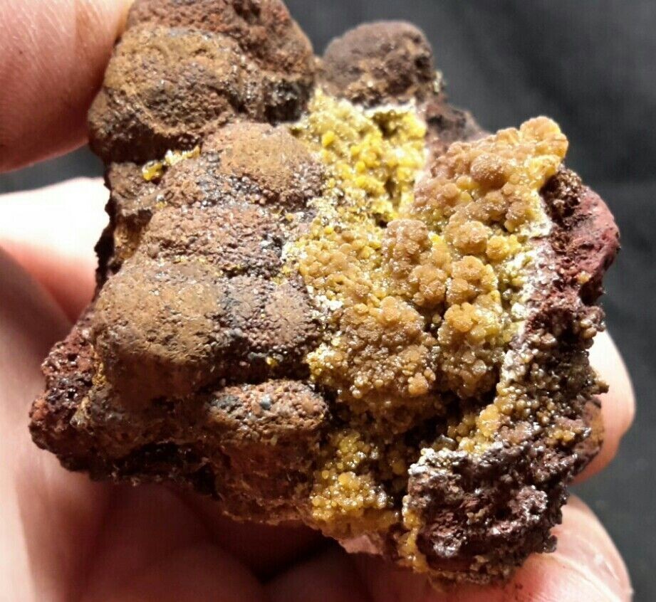 95g Natural 2.5″ MIMETITE from Santa Eulalia, Chihuahua, Mexico