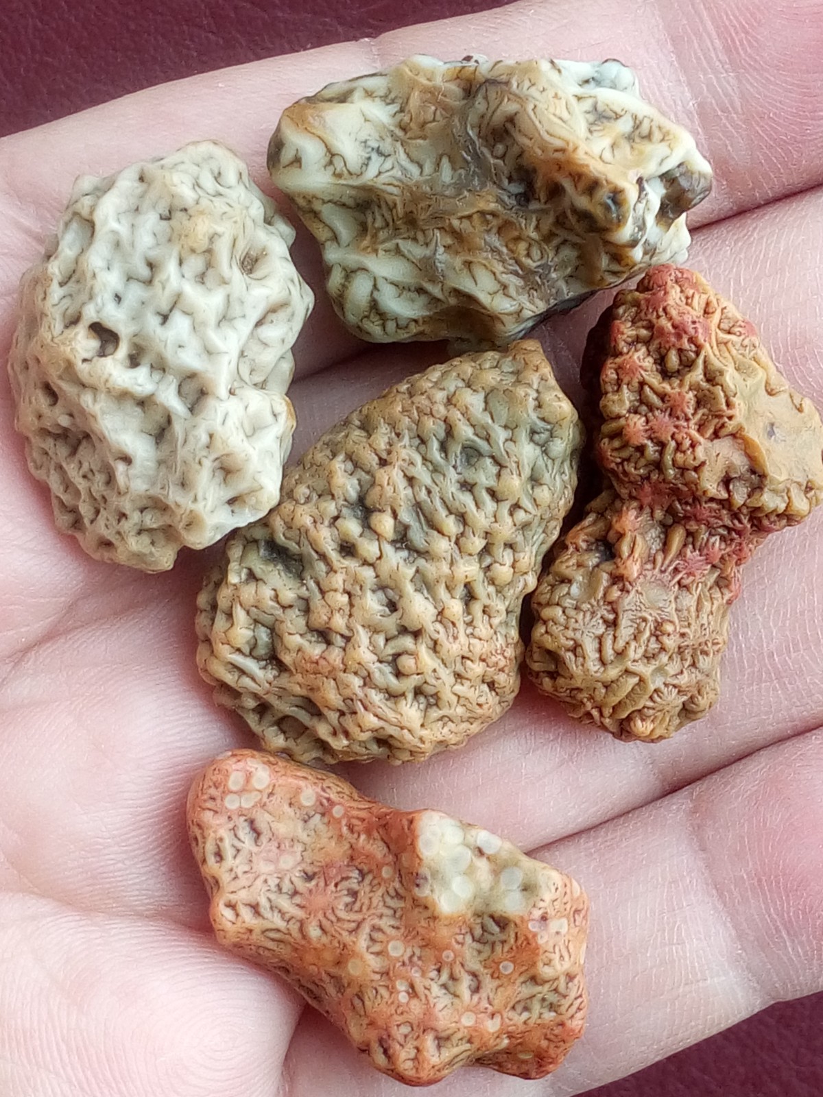 5 pieces Beautiful Natural GoBi agate veins agate Landscape stone