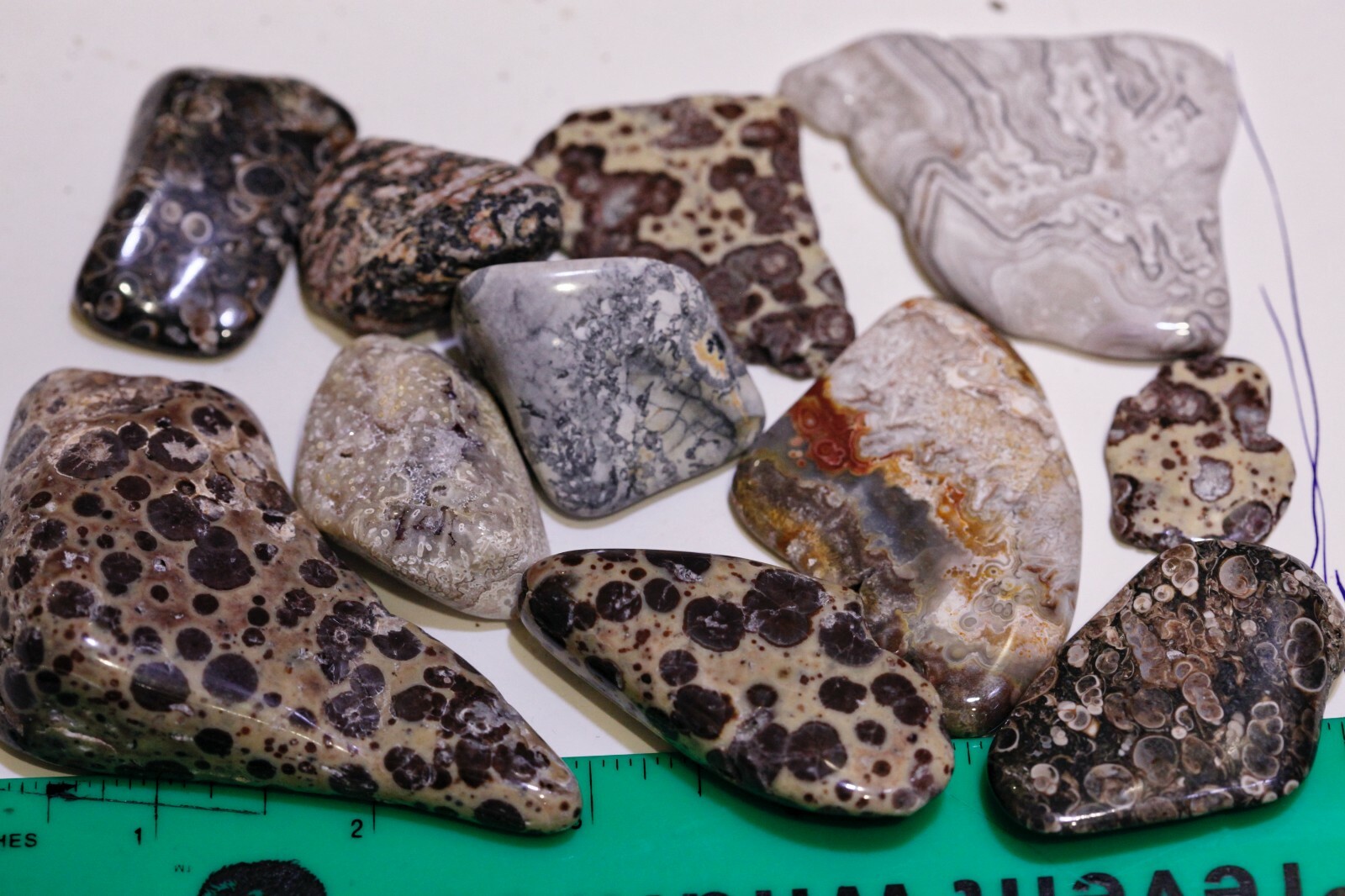 Large Tumbled Stone – Jasper, Crazy Lace Agate, Turritella – 16.0 Oz. Total wt. 