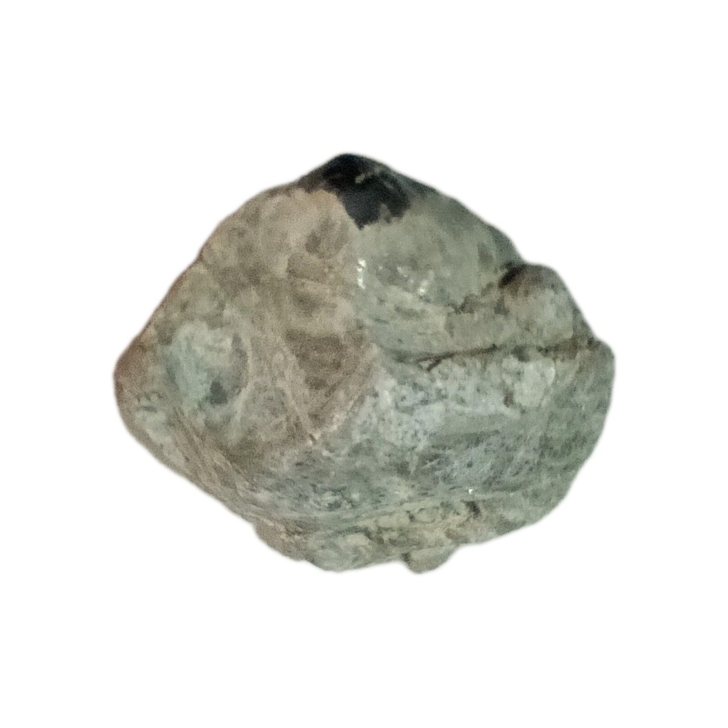 Apach Tear Rough In Host Perlite. Beautiful Rock Tumbled Sample Included