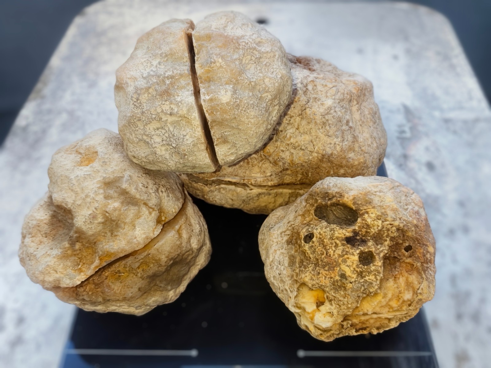 3 LB Kentucky KY Geodes Pre-Scored Crack Your Own Set 4 Piece Lot Hand Collected