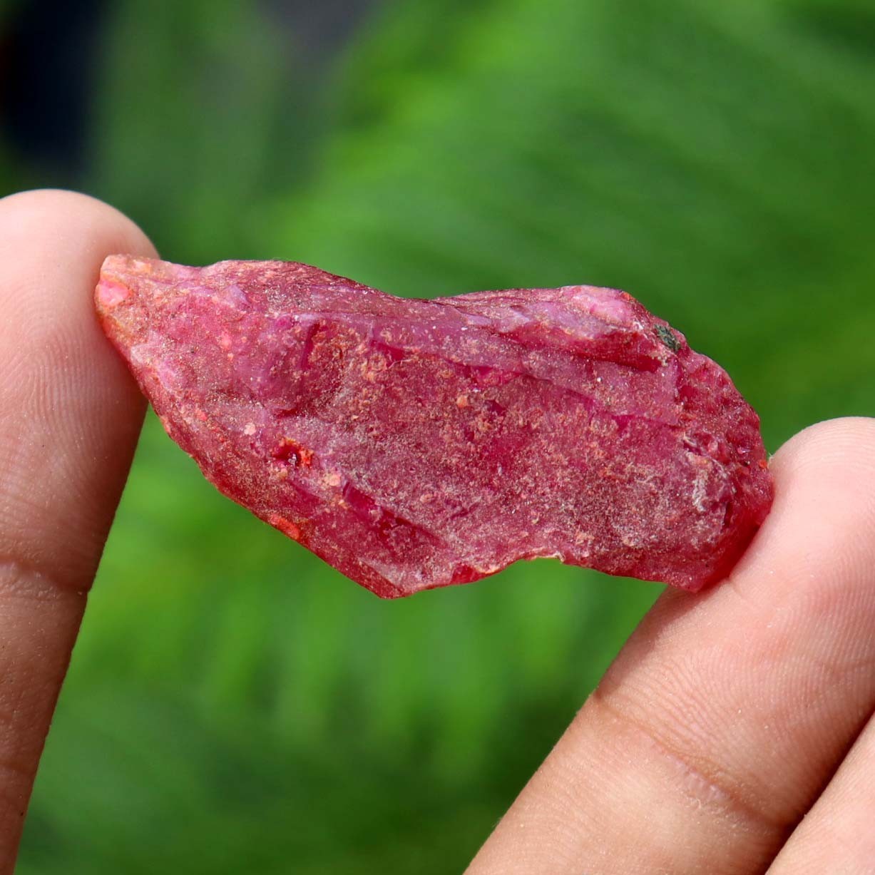 BURMA Red Ruby Rough Certified Loose Gemstone Uncut 56 CT