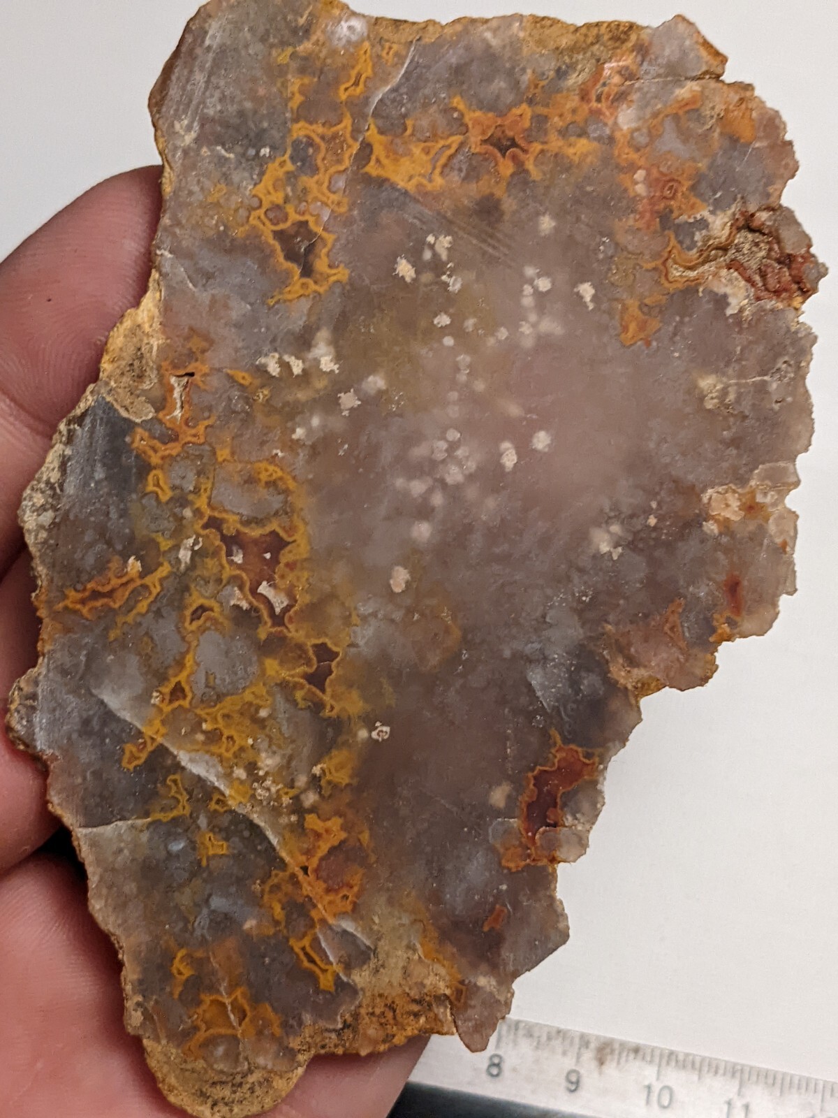 Awesome Orange Red Kentucky Agate Slab Slice