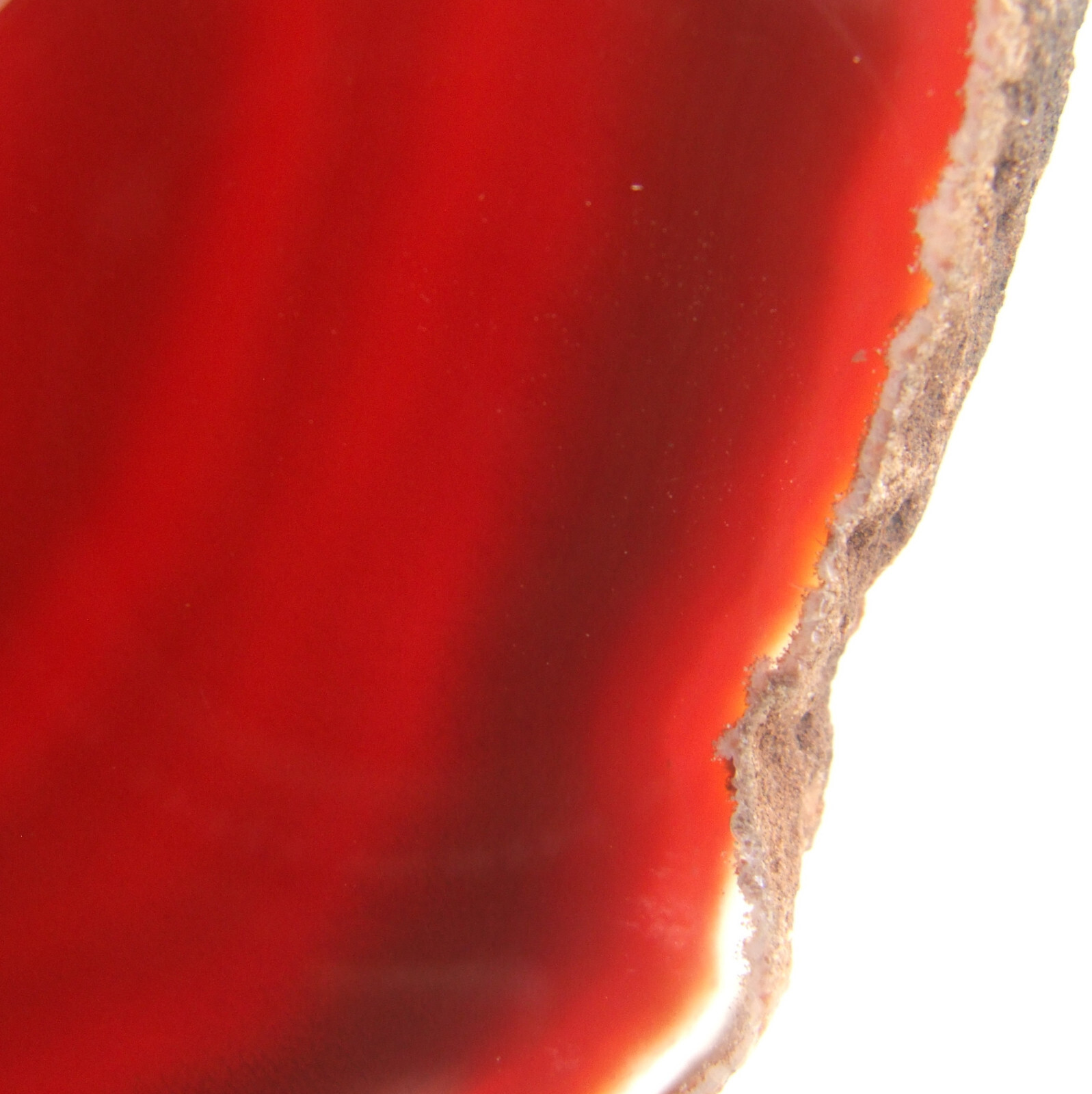 Orange Agate Slice with Quartz Crystal Extra Large Banded Geode Slice 13cm