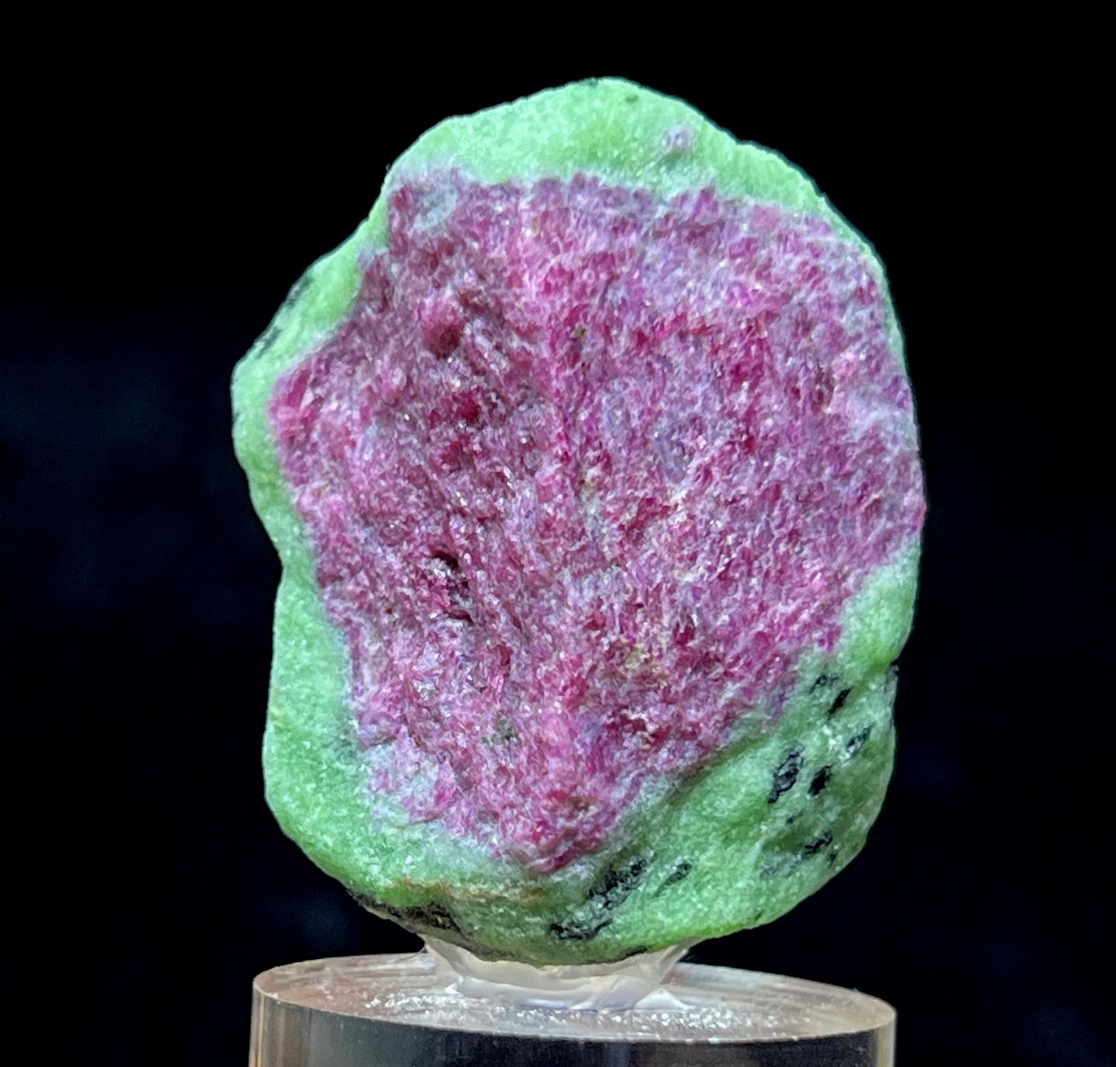 38mm FLUORESCENT Ruby in Green Zoisite, with acrylic base, Natural Mineral