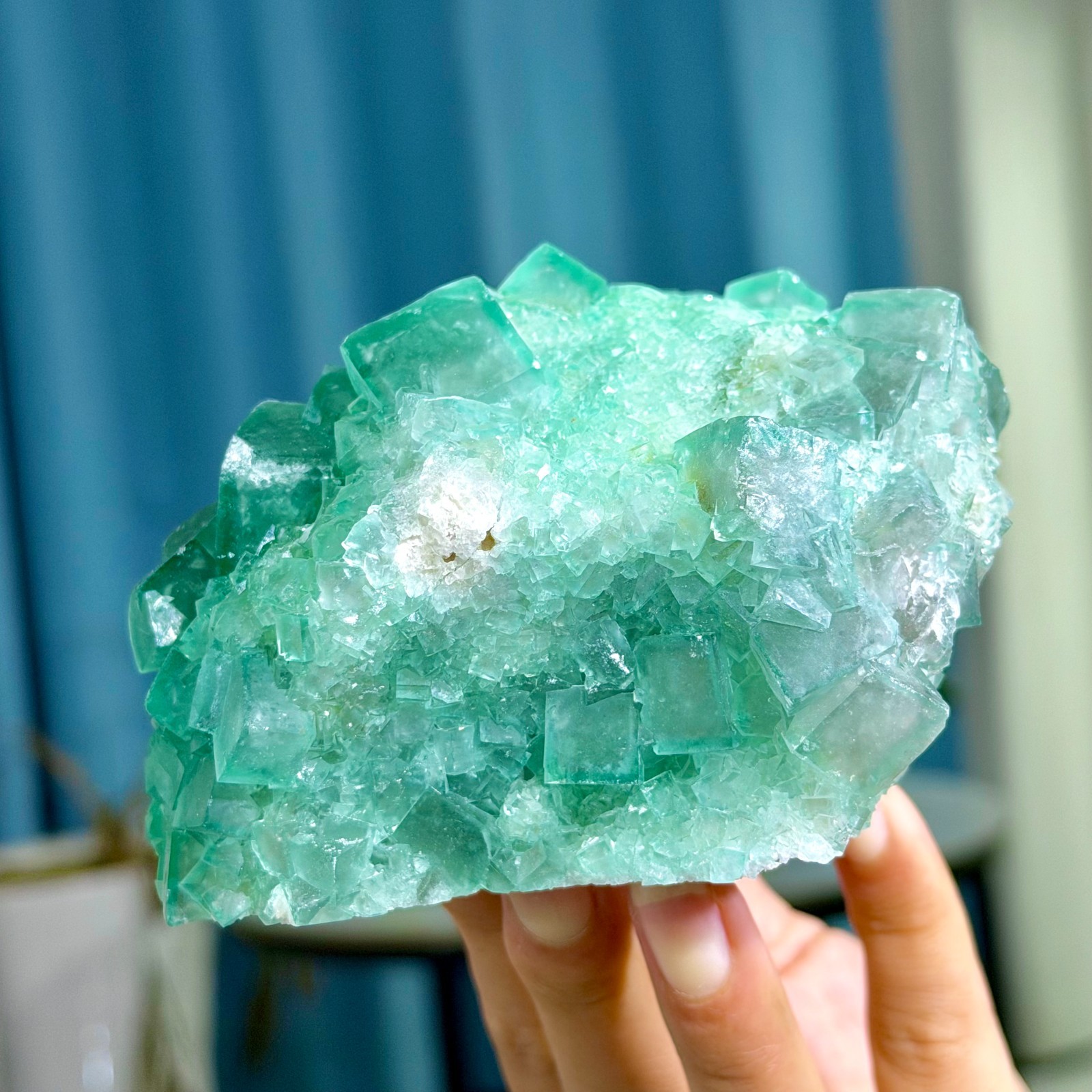 1.95LB Rare transparent green cubic fluorite mineral crystal sample/China