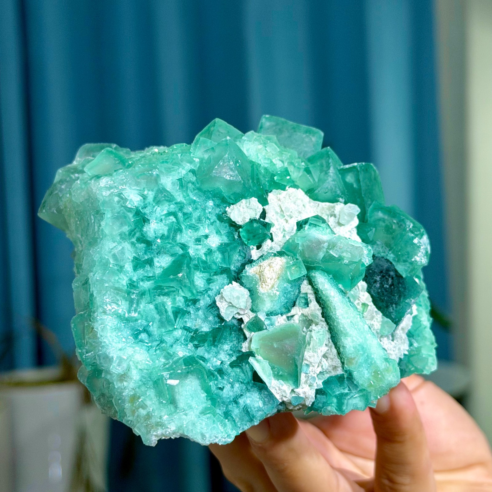 1.95LB Rare transparent green cubic fluorite mineral crystal sample/China
