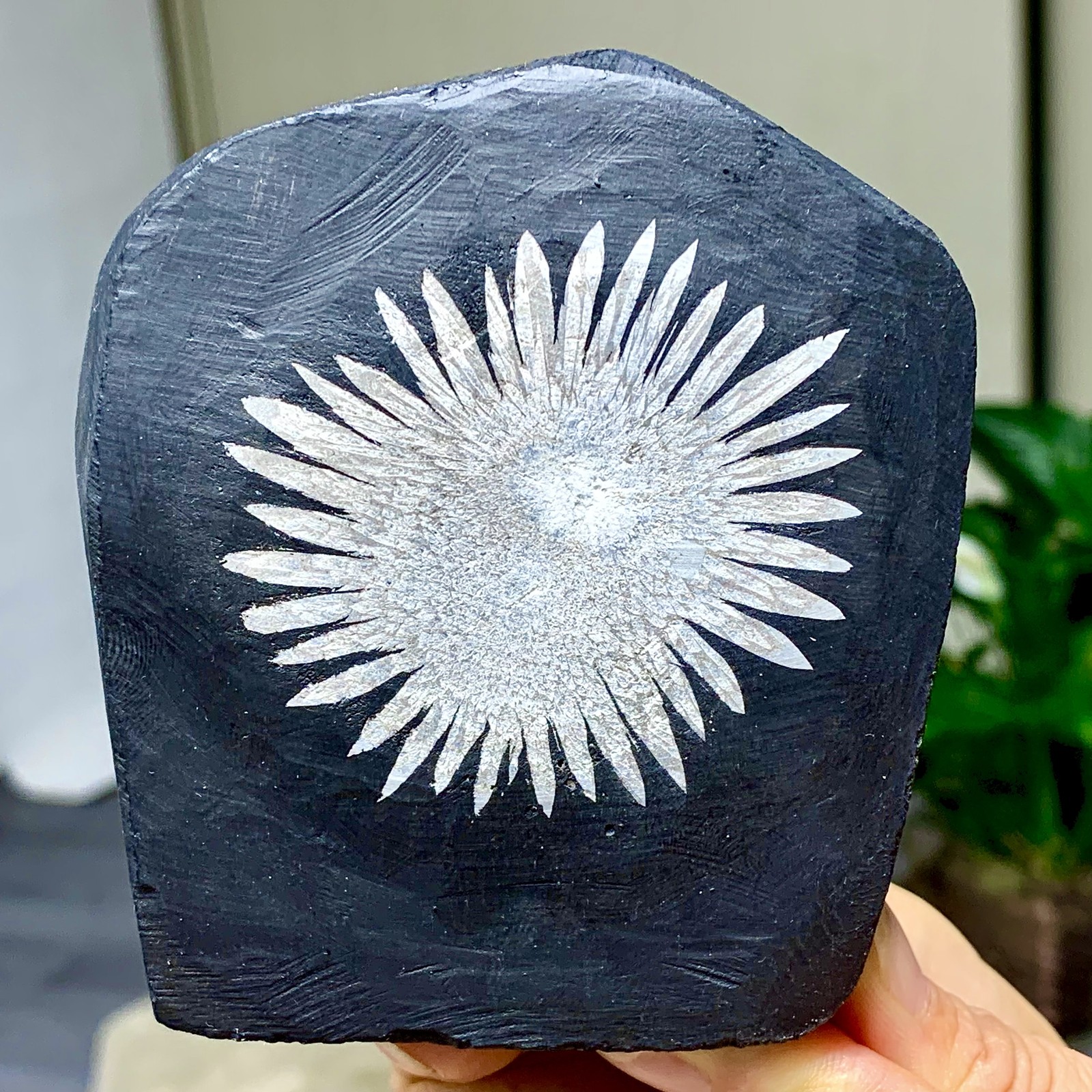1.14LB Natural chrysanthemum stone quartz carving aura healing gift