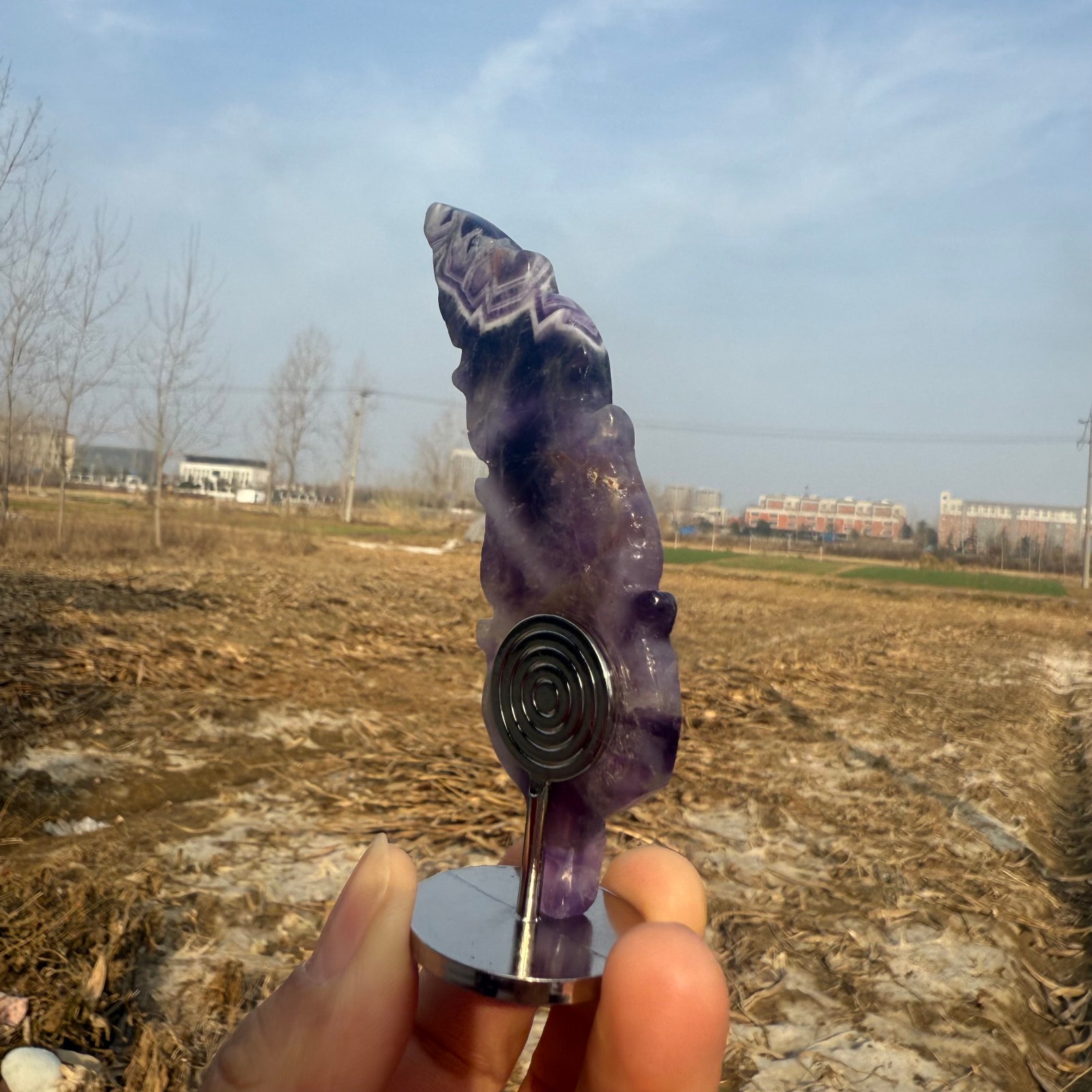 3.6″Natural Dream Amethyst hand carved Feathers Quartz Crystal heal Gift 1pc