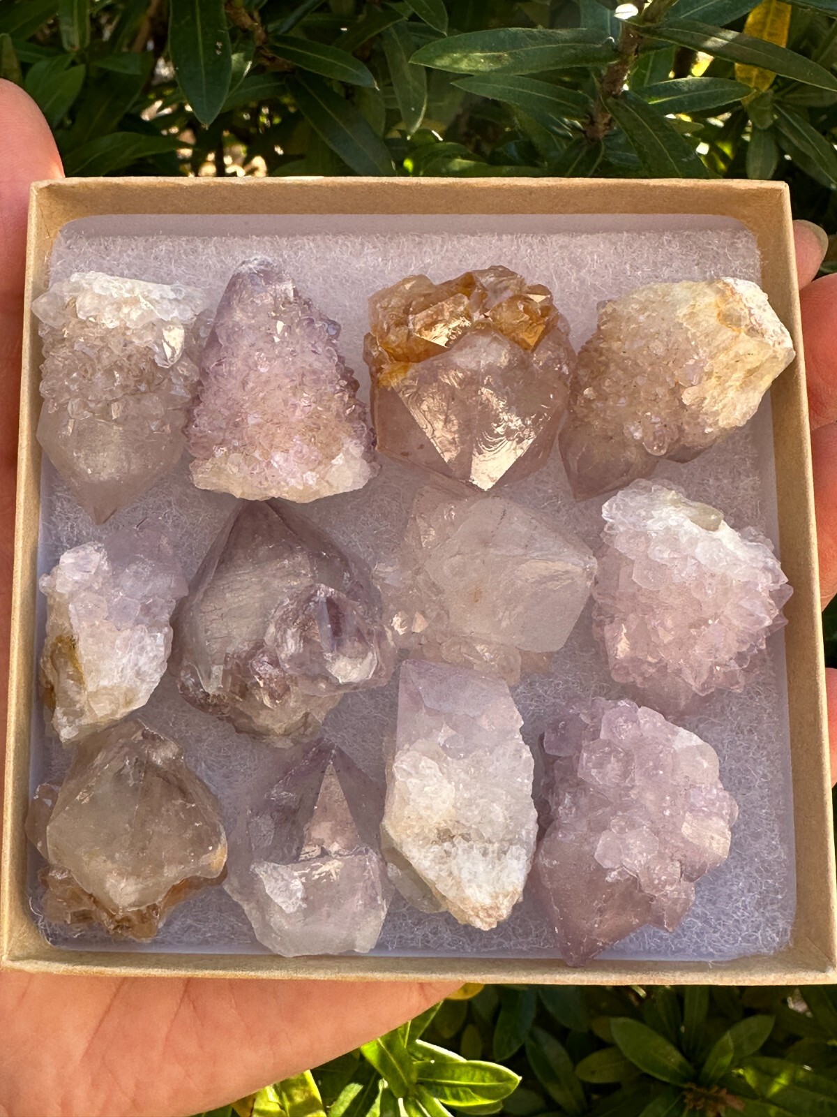 Spirit Quartz Clusters Crystal Collection Box: 6 – 7 oz Box Lot, 11 – 14 Pieces