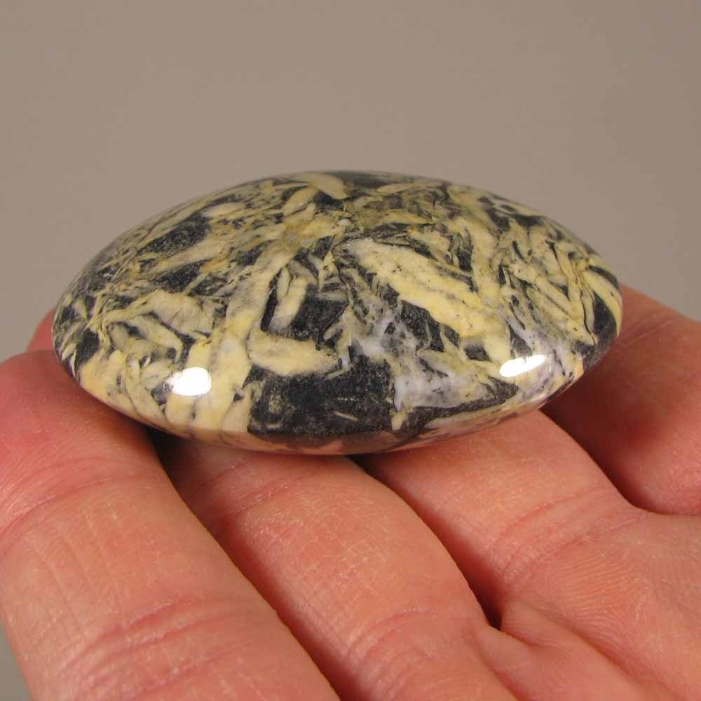 2″ PINOLITE Pinolith Polished Palm Stone – British Columbia, Canada