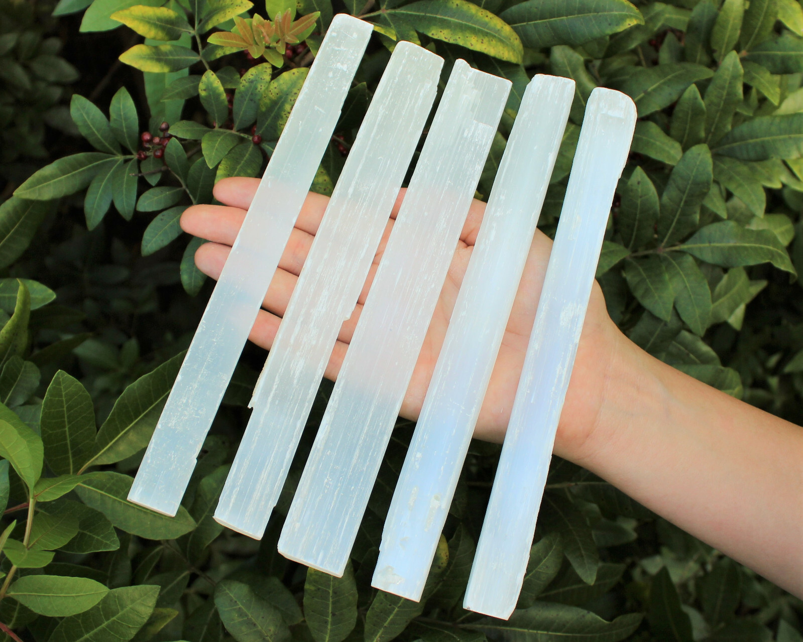 5 x Selenite Sticks, LARGE 7″ – 8″ Wand Rough Crystal Specimen Reiki Chakra