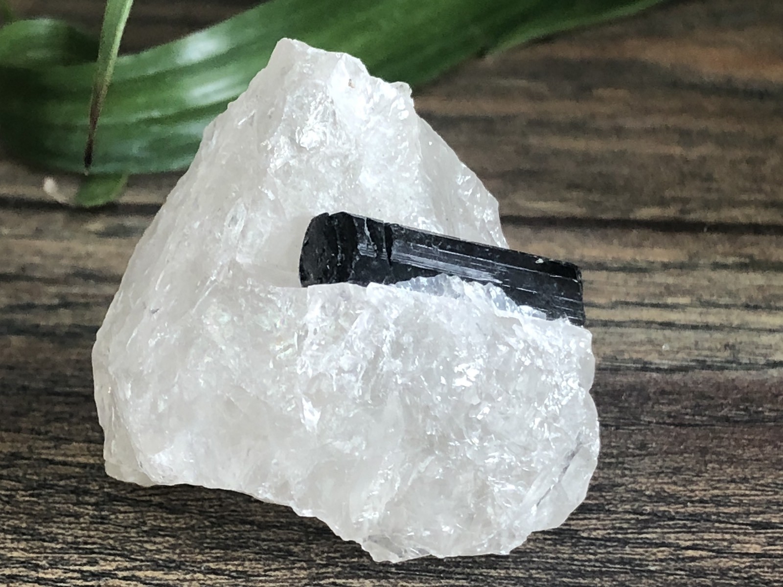 Rough Black Tourmaline Mineral Specimen Raw Gemstone Crystal Reiki Metaphysical.