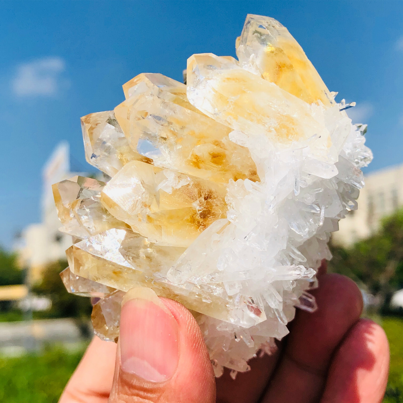 300-400g Yellow Phantom Quartz Citrine Crystal Cluster Mineral Specimen Healing