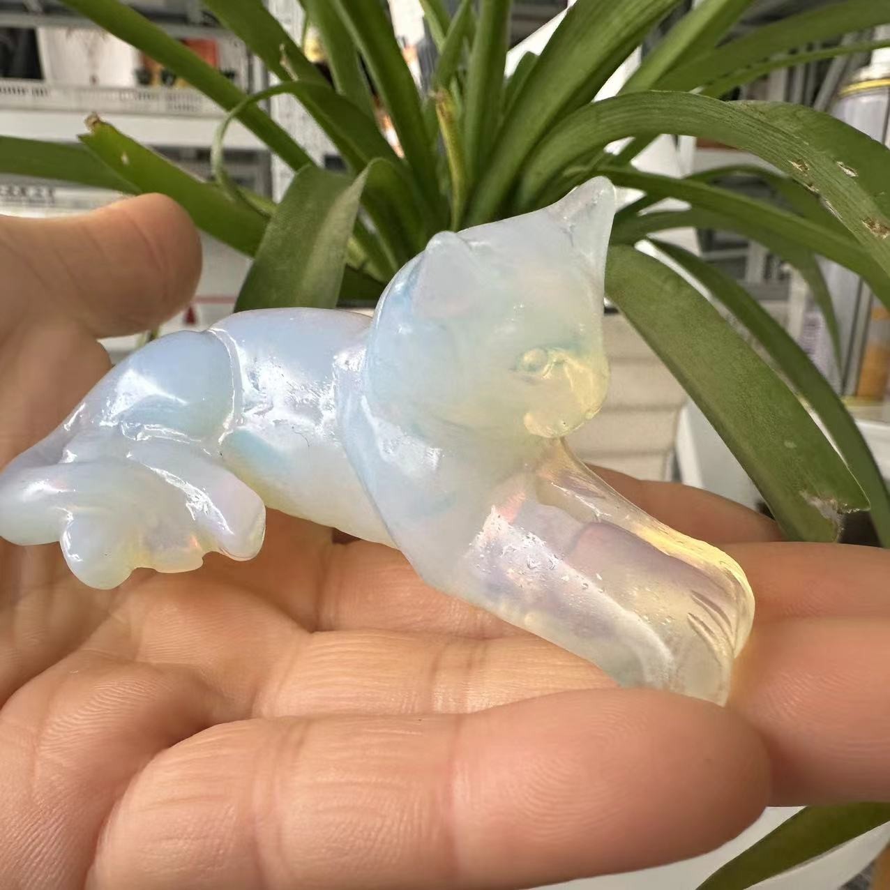 1pc Whit Opalite Quartz Carved Cat Skull Crystal Reiki Healing Gift
