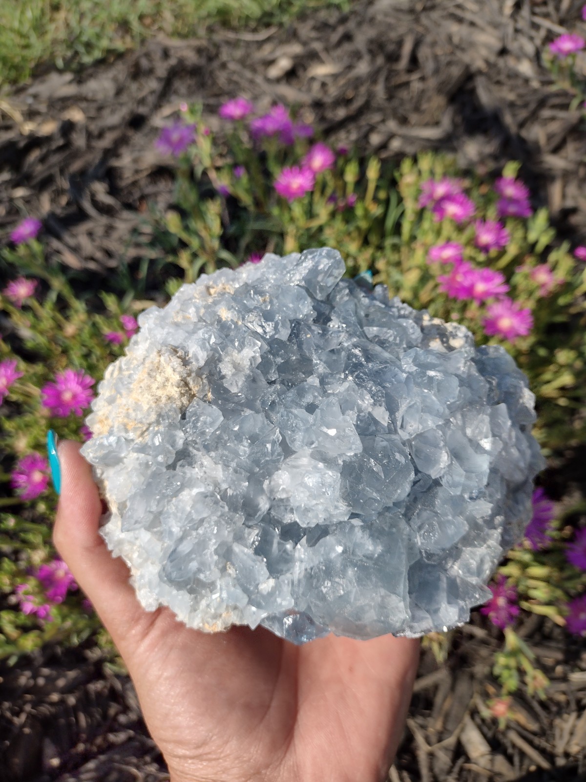 XL Celestite Cluster Raw Stone Rough Crystal Geode Specimen