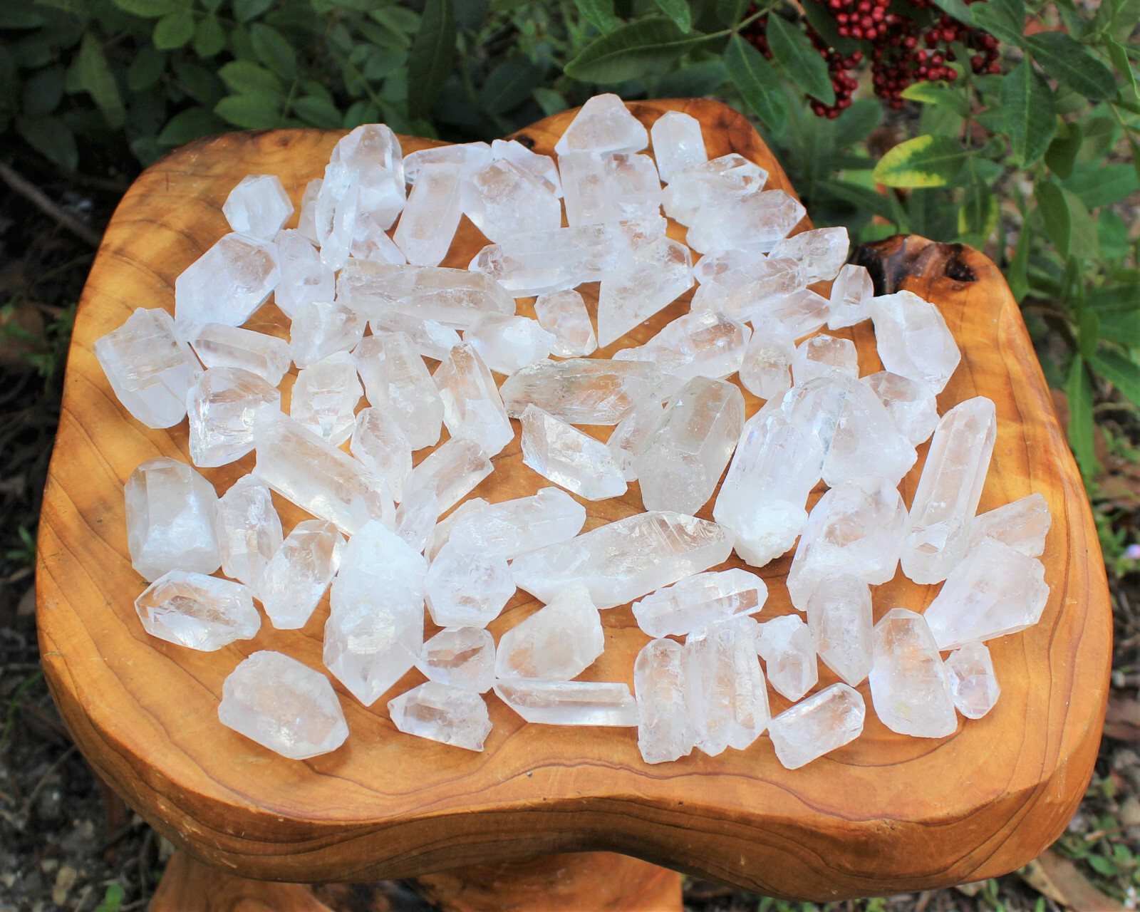 Clear Quartz Crystal Points 1/2 lb Bulk Lot Natural Mineral Wand Specimen (8 oz)