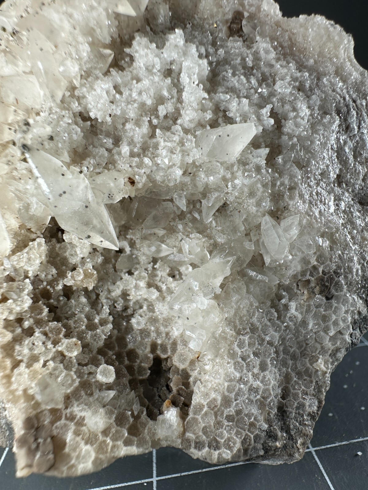➤4 Inch DOUBLE TERMINATED FOSSIL CORAL CALCITE CRYSTALS Pints Quarry VIDEO➤1073