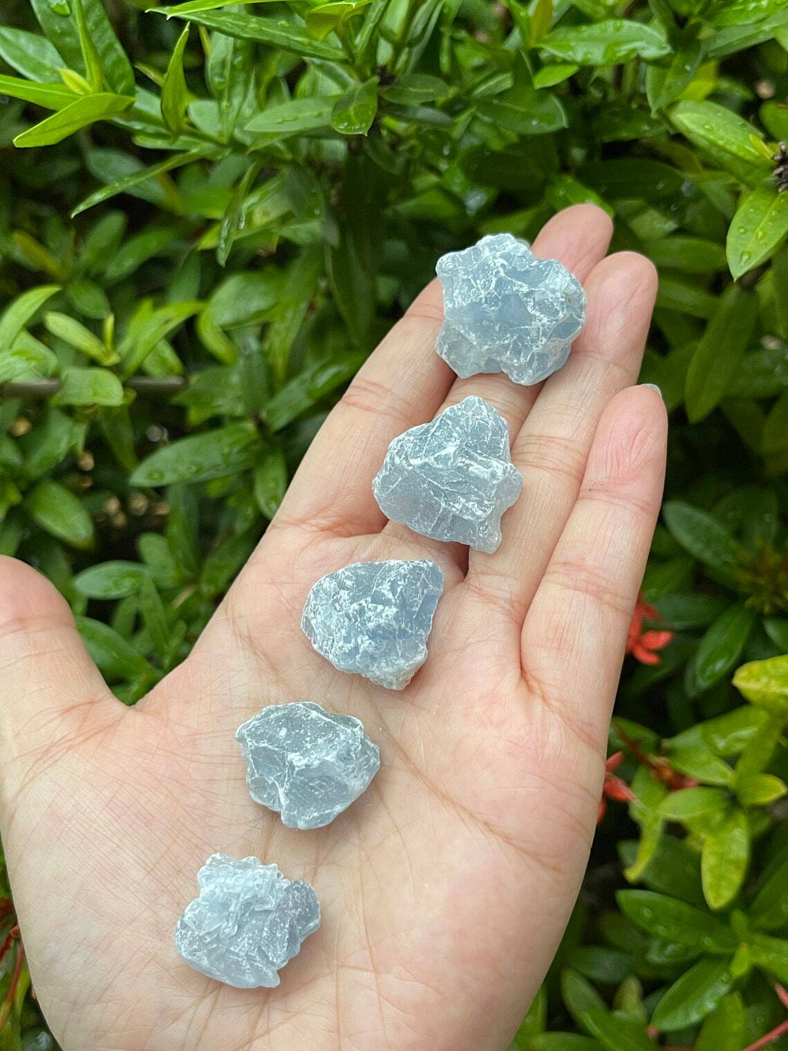 Grade A++ Raw Celestite Rough Pieces, 0.65-1″ Rough Celestite, Pick How Many