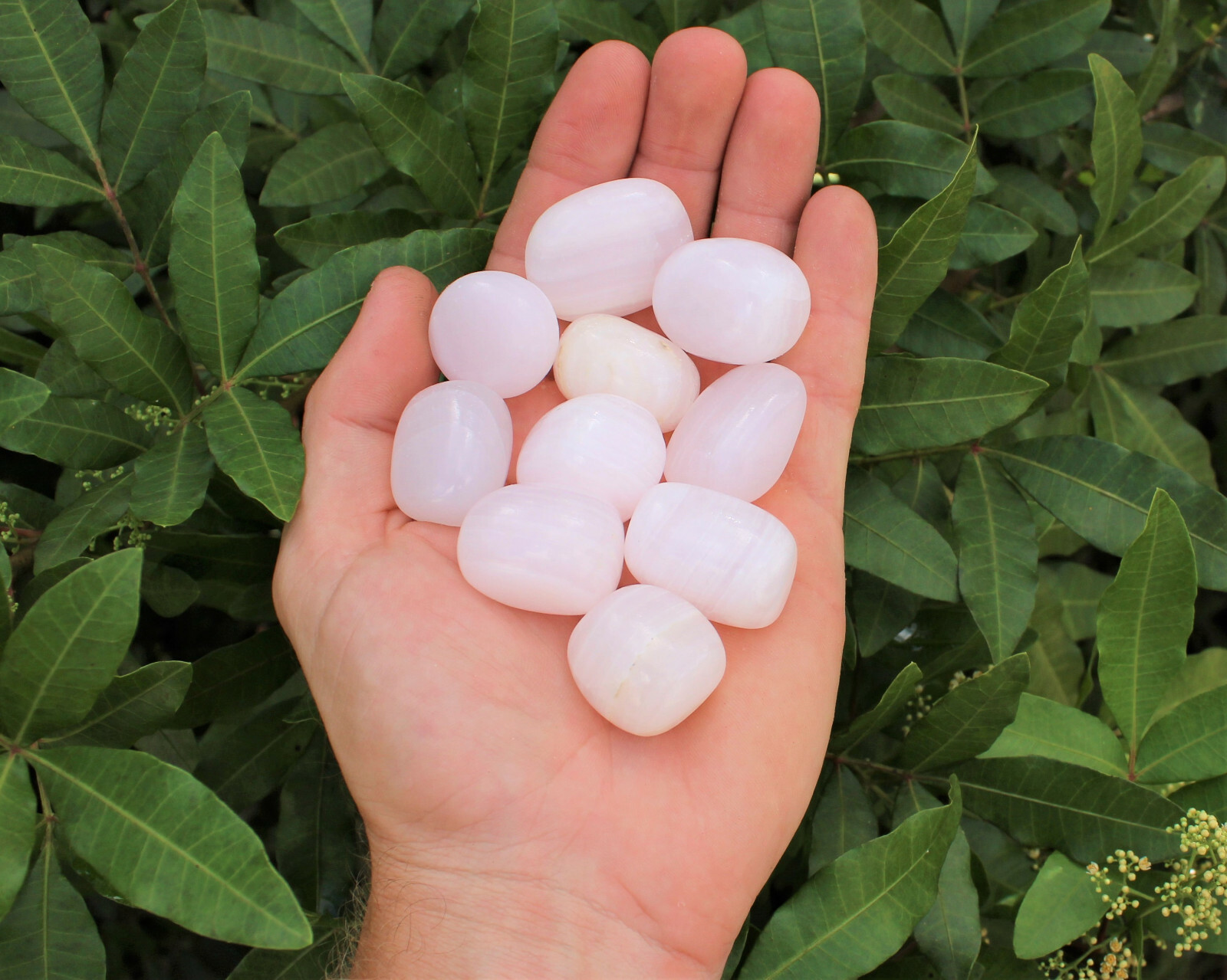 Pink Calcite Tumbled: Choose 2 oz, 4 oz, 8 oz or 1 lb Bulk Lot (Mangano Calcite)
