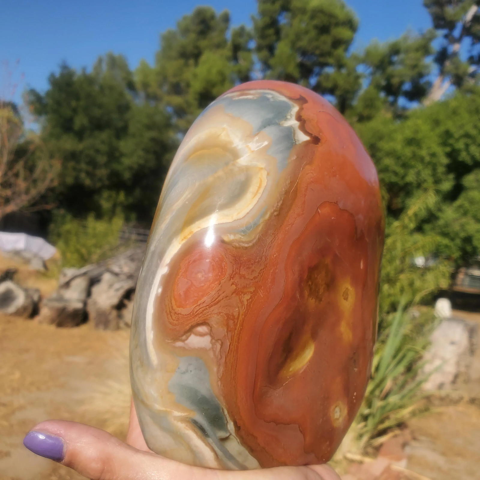 Polychrome Freeform Jasper Free-Standing Healing Crystal 3340 grams l 7lbs 6oz