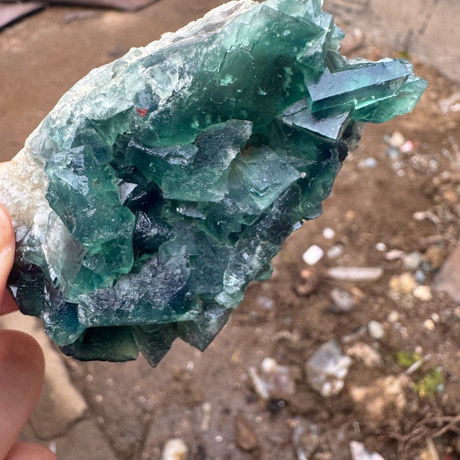115G Natural cubic green fluorite crystal cluster rough mineral specimen Healing