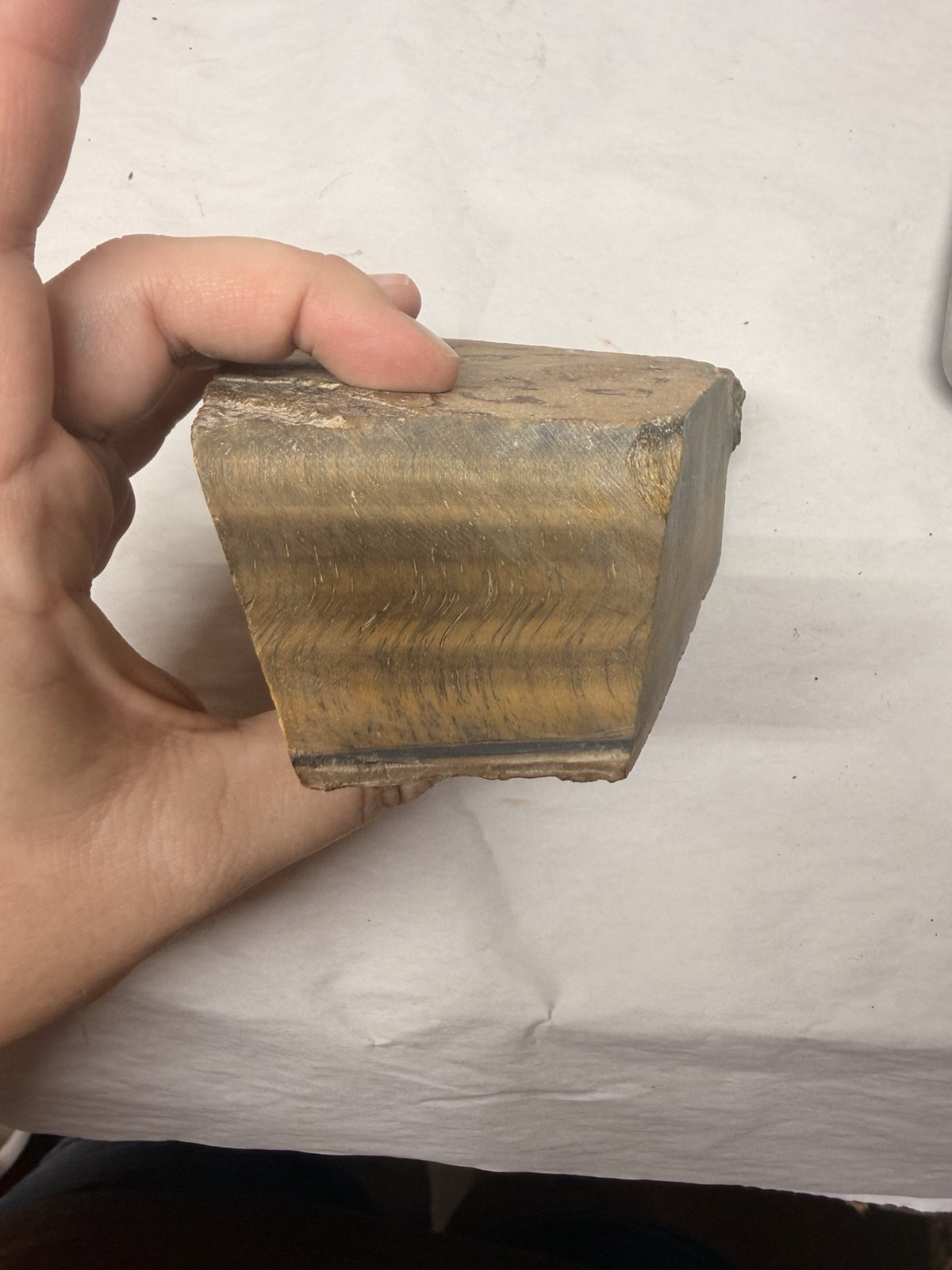 Natural Double Sided Flash Tiger’s Eye Stone Rock Specimen Rough 2.7 POUNDS
