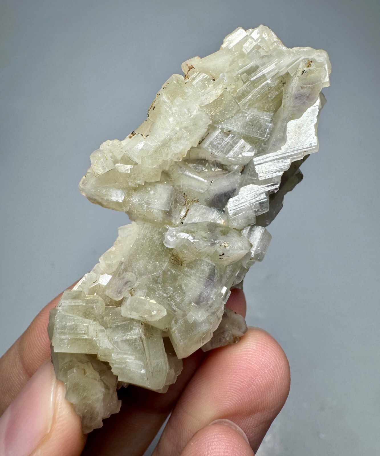 159 Carats FT FD Fluorescent Phosphorescent Colorless Apatite Crystals Bunch @AF