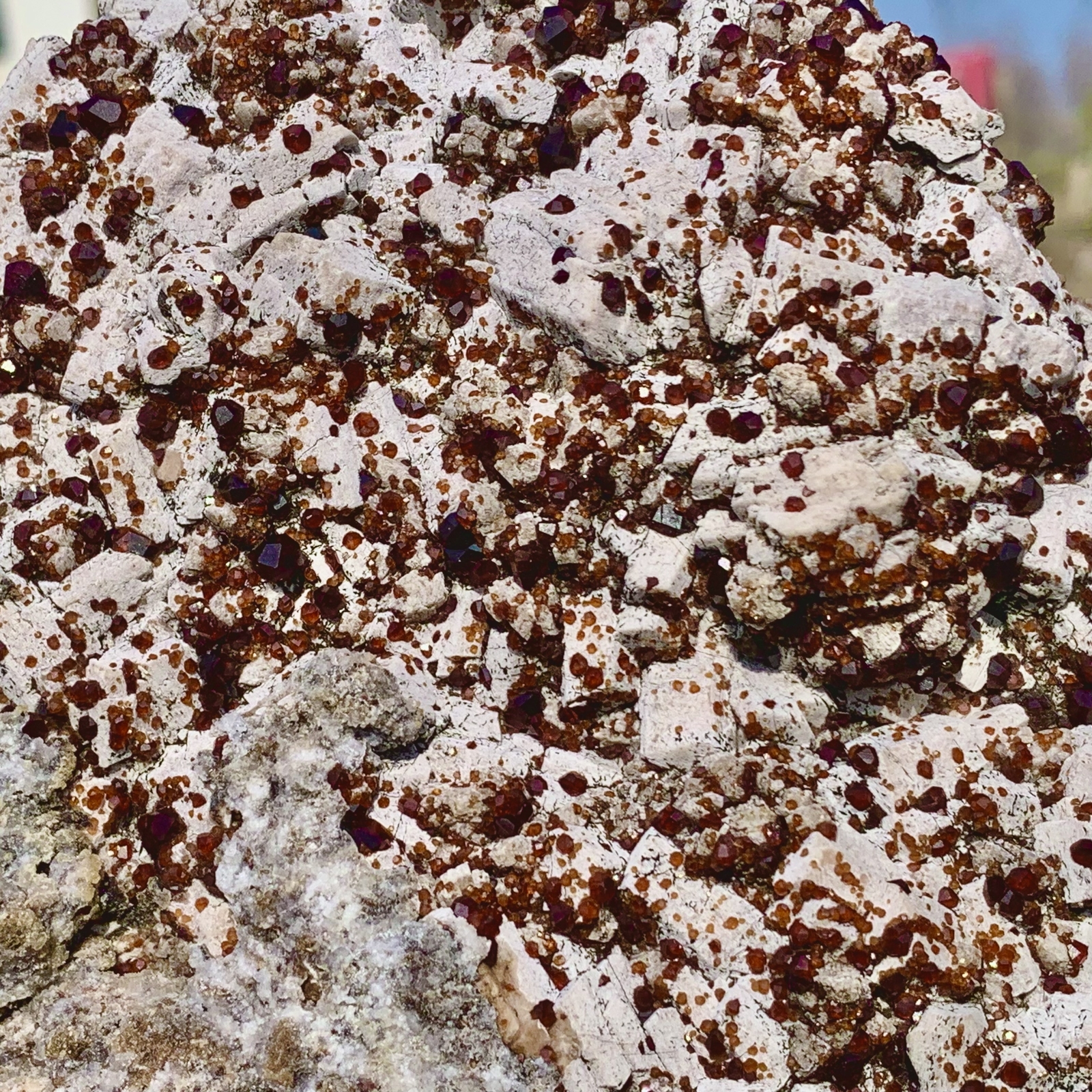 1.11LB Natural Dark Red Garnet QuartzCrystal Rough Mineral Specimen