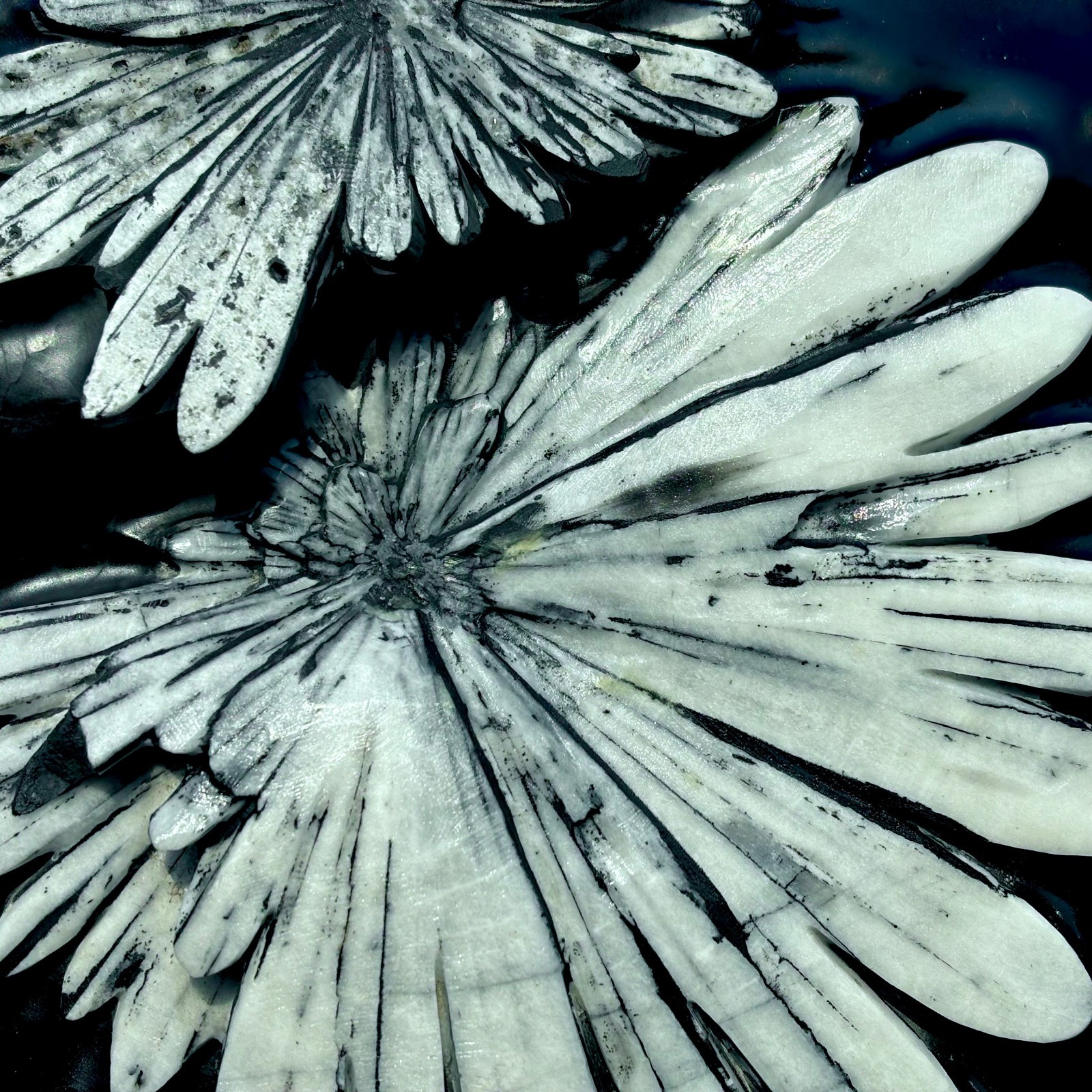 25.66LB Natural chrysanthemum stone quartz carving aura healing gift