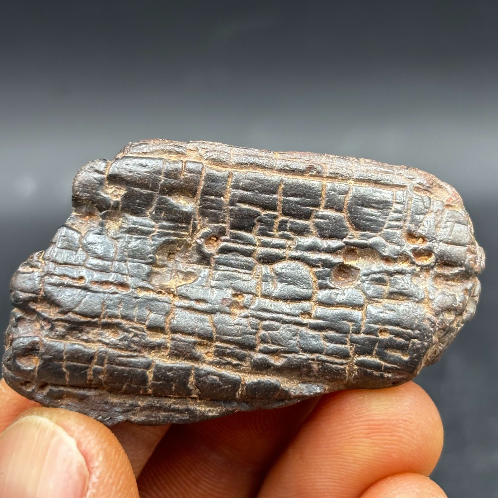 RARE Stony meteorite Natural Meteorite iron BOXHOLE, Australia