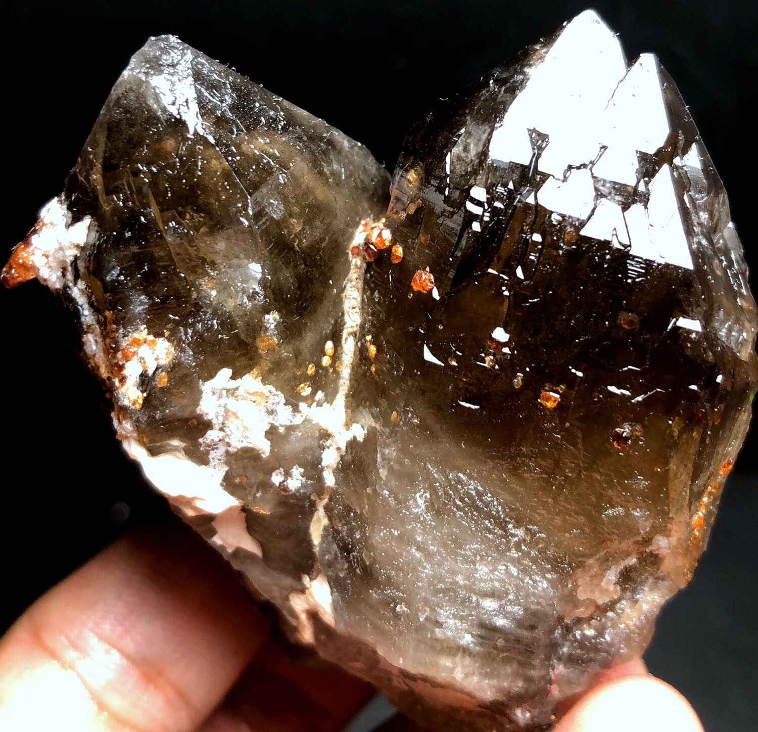 144g Brand new Rare Black SMOKY QUARTZ Crystal Point &Garnet Spessartine f193